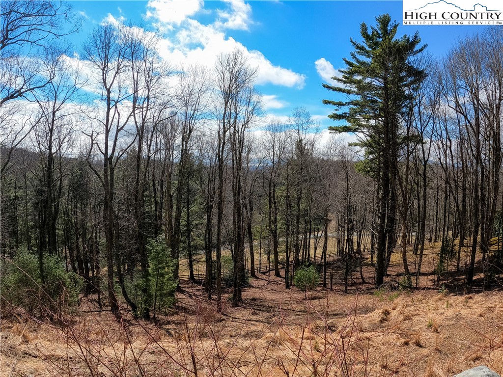 Lot 4 Churchill Downs Boone, NC 28607 - Photo 6 of 29