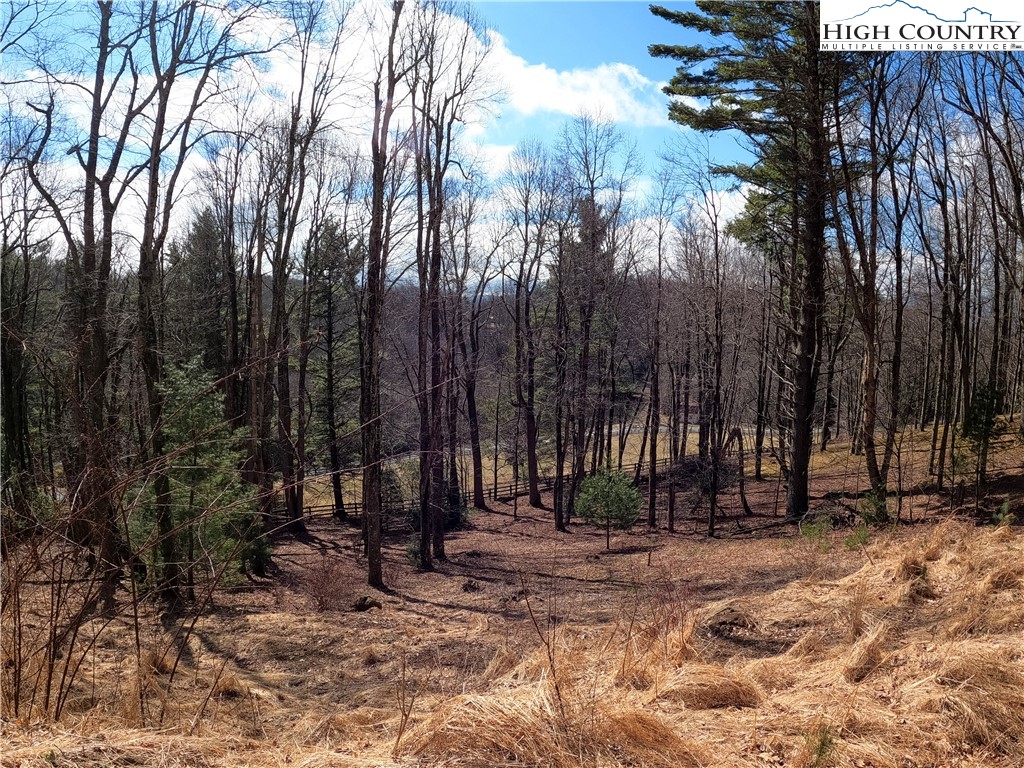 Lot 4 Churchill Downs Boone, NC 28607 - Photo 7 of 29