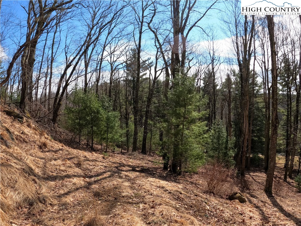 Lot 4 Churchill Downs Boone, NC 28607 - Photo 8 of 29