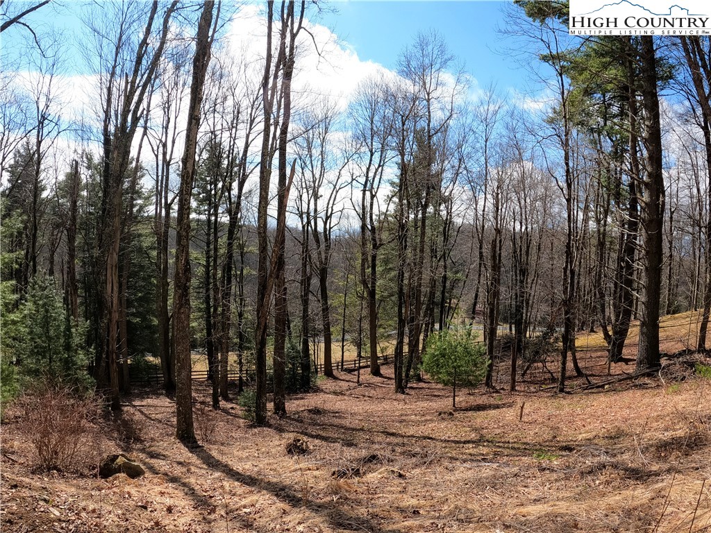 Lot 4 Churchill Downs Boone, NC 28607 - Photo 9 of 29