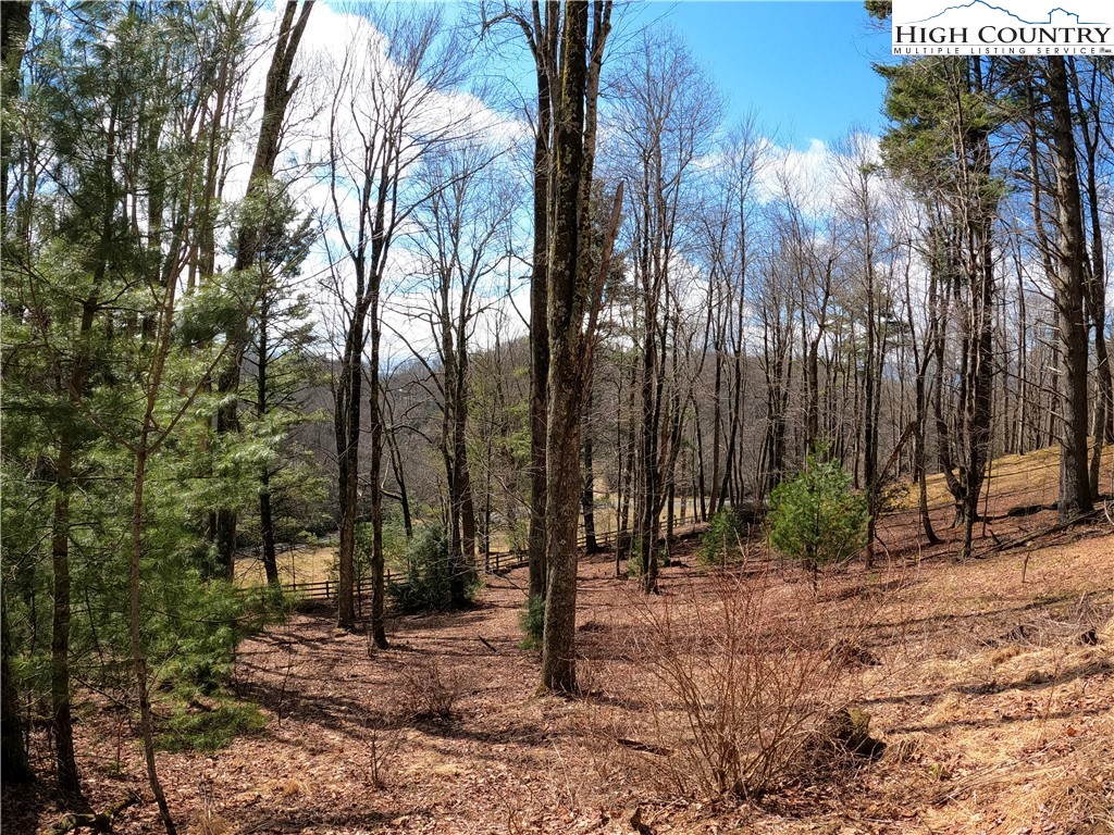 Lot 4 Churchill Downs Boone, NC 28607 - Photo 10 of 29