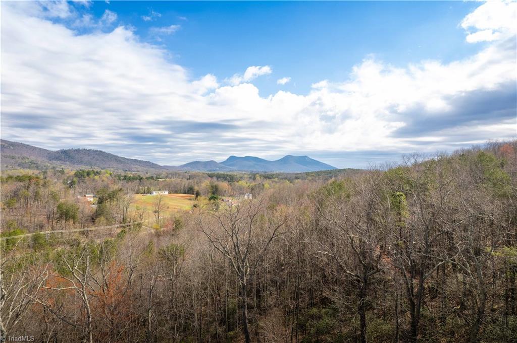 2558 YMCA Camp Road King, NC 27021 - Photo 21 of 43