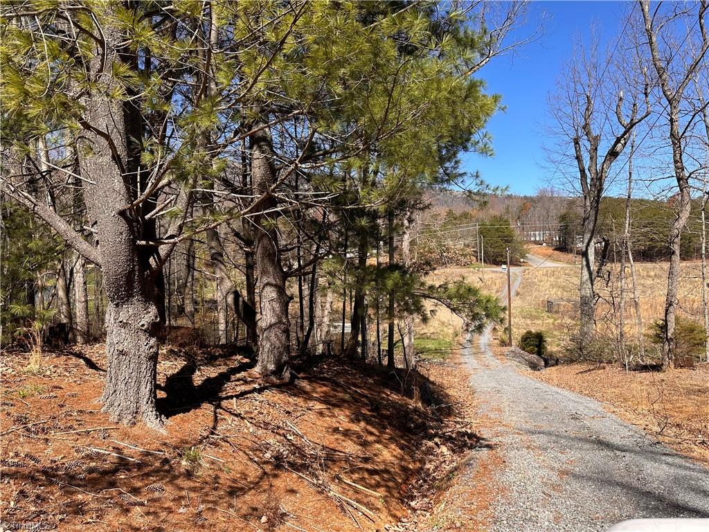 2558 YMCA Camp Road King, NC 27021 - Photo 38 of 43