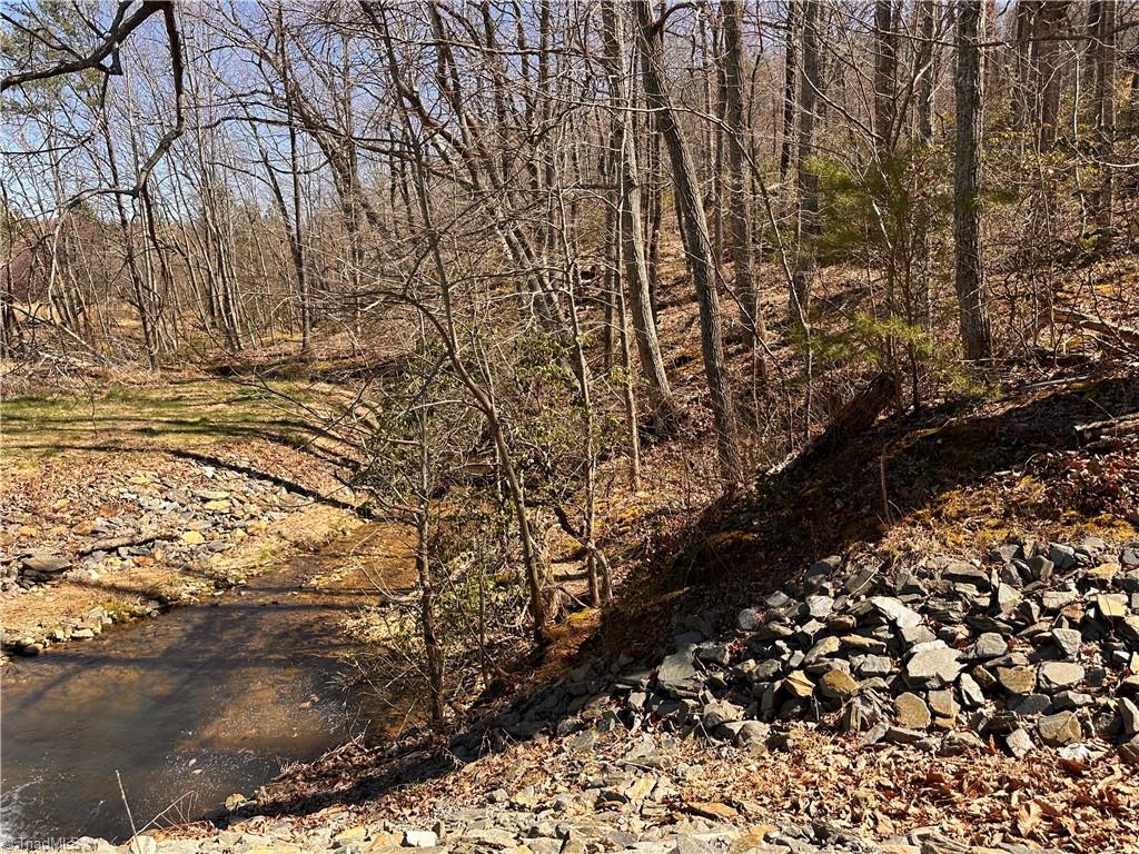 2558 YMCA Camp Road King, NC 27021 - Photo 40 of 43