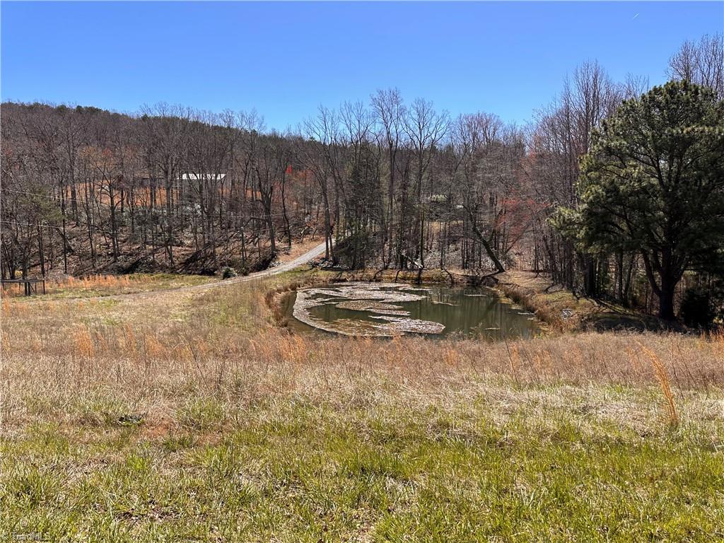 2558 YMCA Camp Road King, NC 27021 - Photo 41 of 43