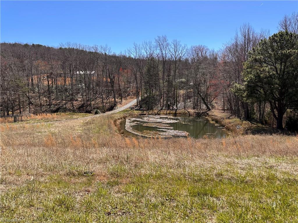 2558 YMCA Camp Road King, NC 27021 - Photo 42 of 43