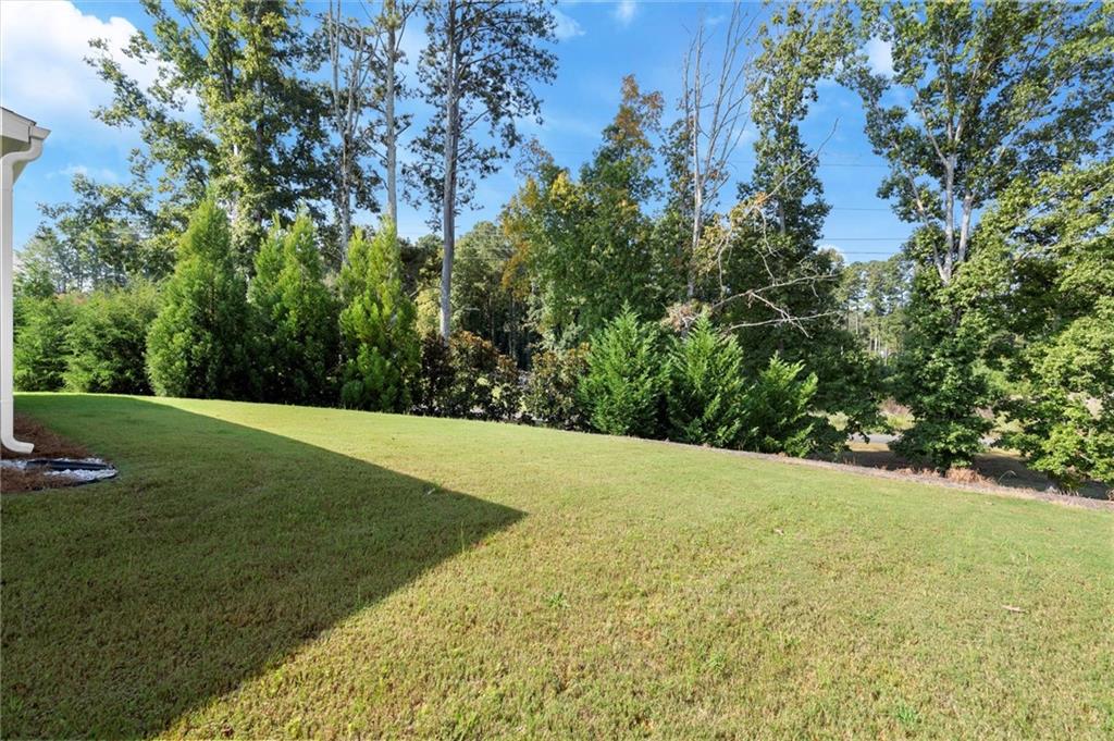 2840 Waverly Walk Point Cumming, GA 30041 - Photo 47 of 61