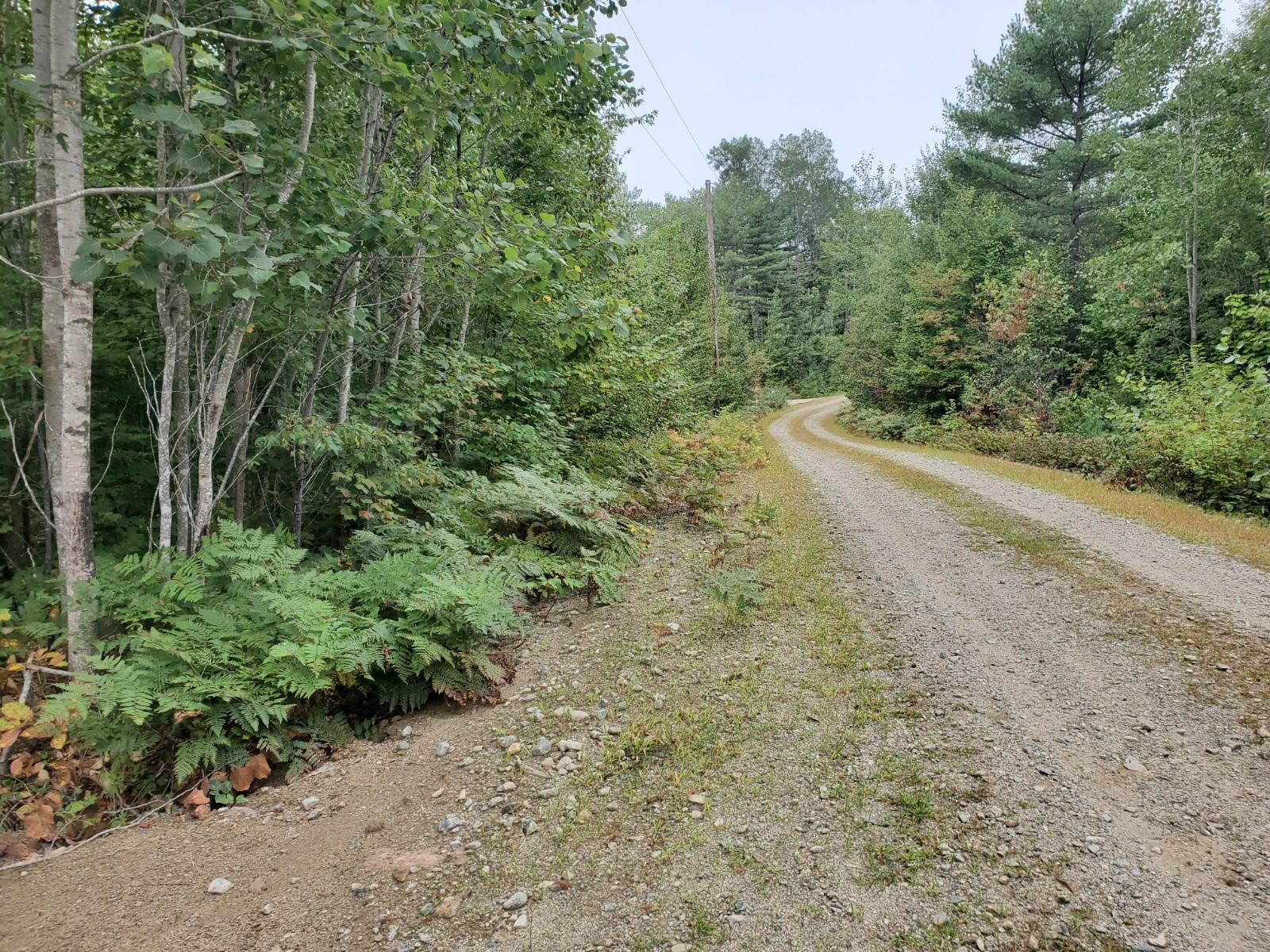 Lot #7 Birch Point Road Cooper, ME 04657 - Photo 6 of 7 20200910_093521