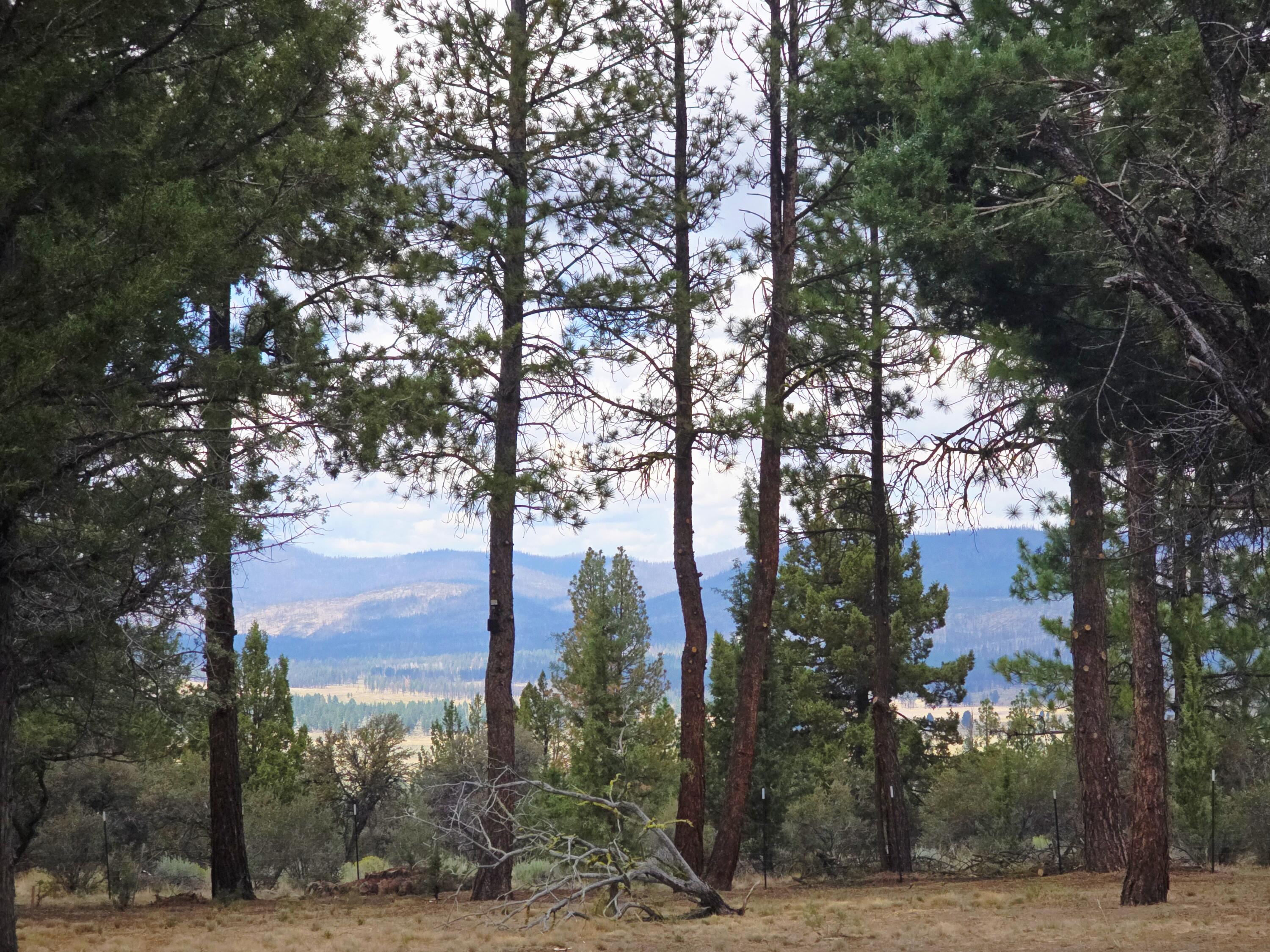 48070 Partin Drive Beatty, OR 97621 - Photo 5 of 29 The view