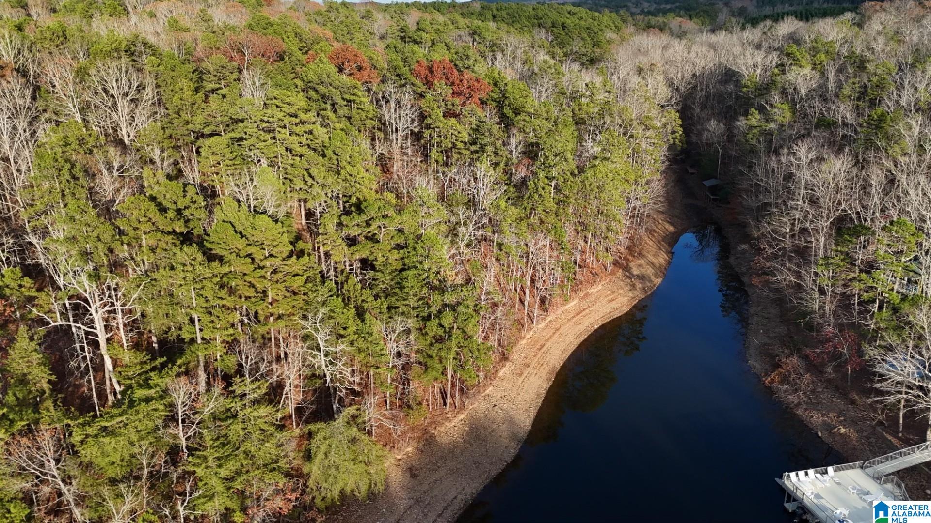 Ginhouse Point, Unit 41 42 Wedowee, AL 36278 - Photo 1 of 7