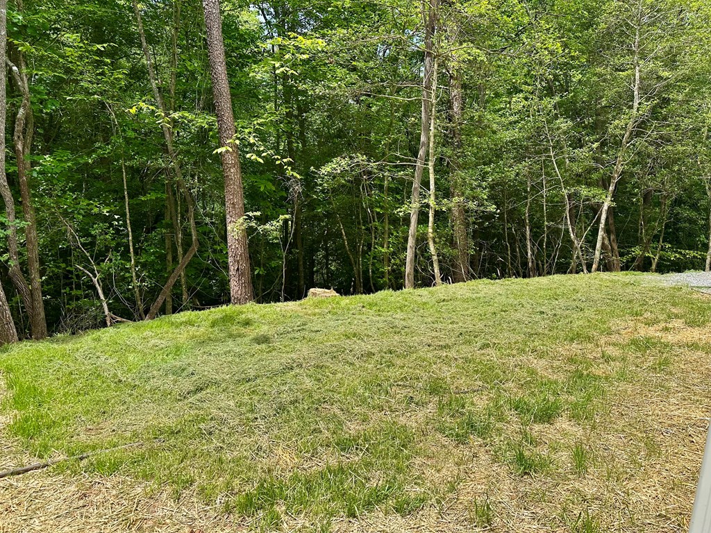101 Harris Ridge Lane Hayesville, NC 28904 - Photo 32 of 34