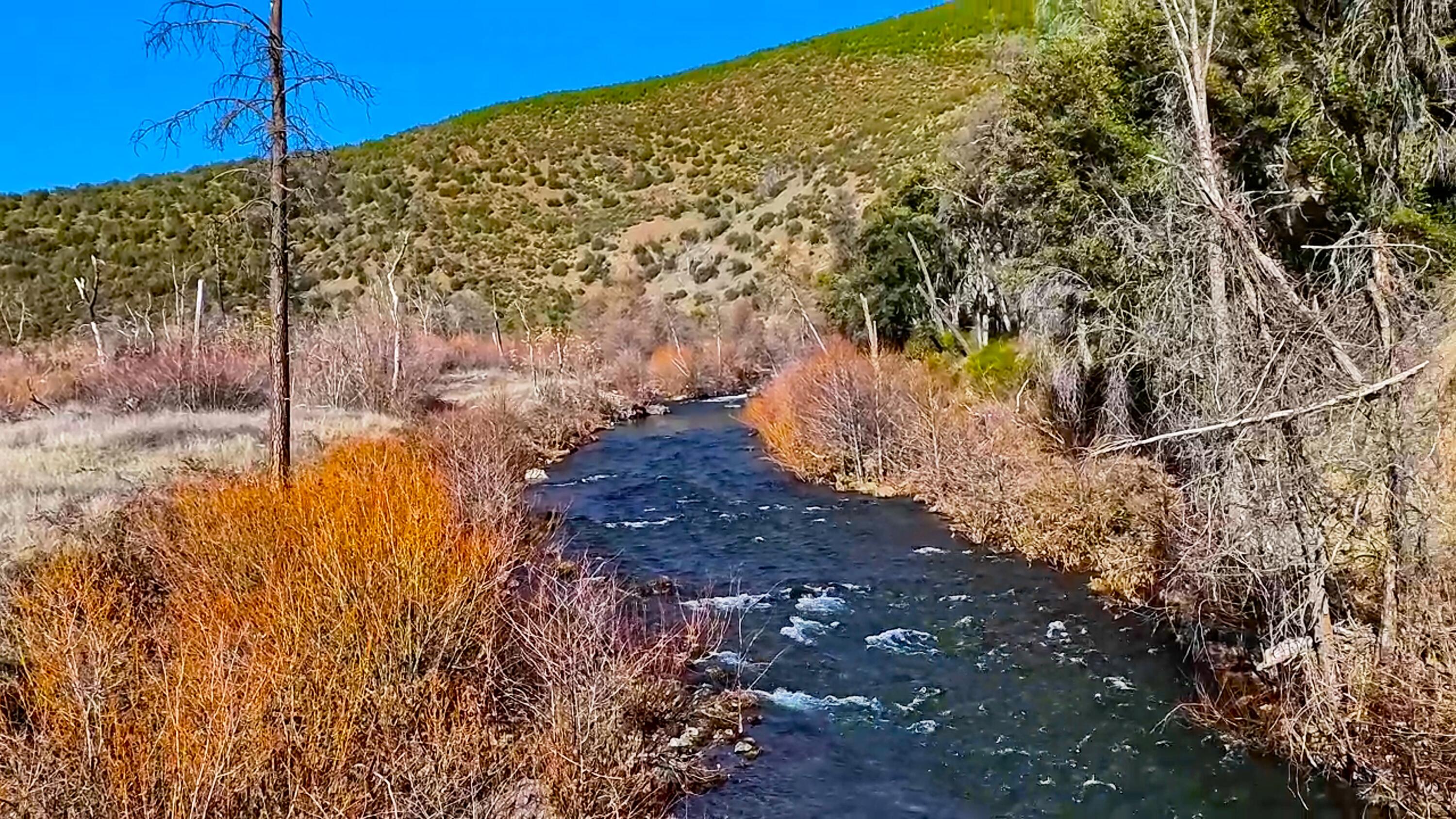 0 Trinity Mountain Road French Gulch, CA 96033 - Photo 1 of 7 View