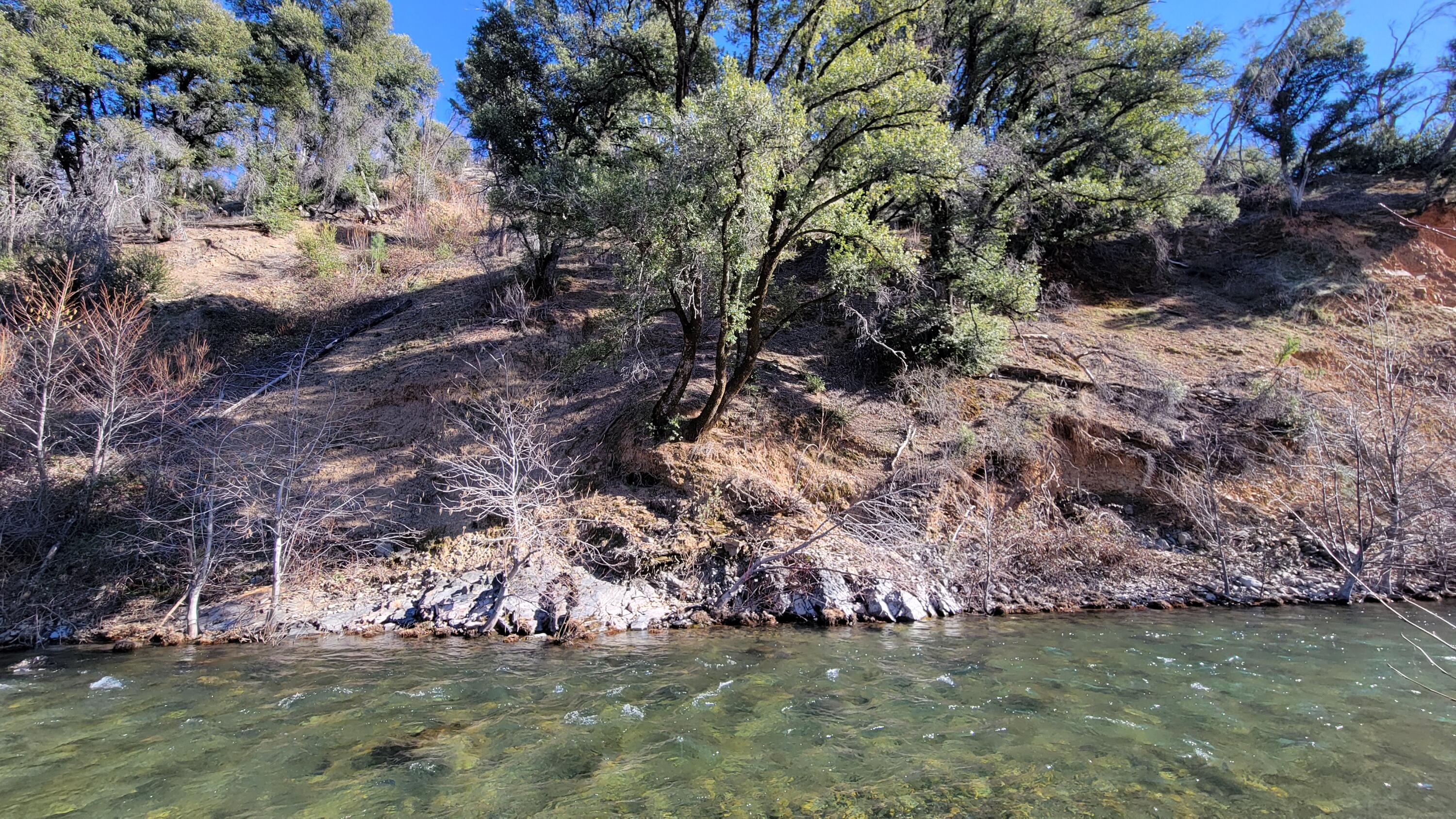 0 Trinity Mountain Road French Gulch, CA 96033 - Photo 3 of 7 20250128_132909