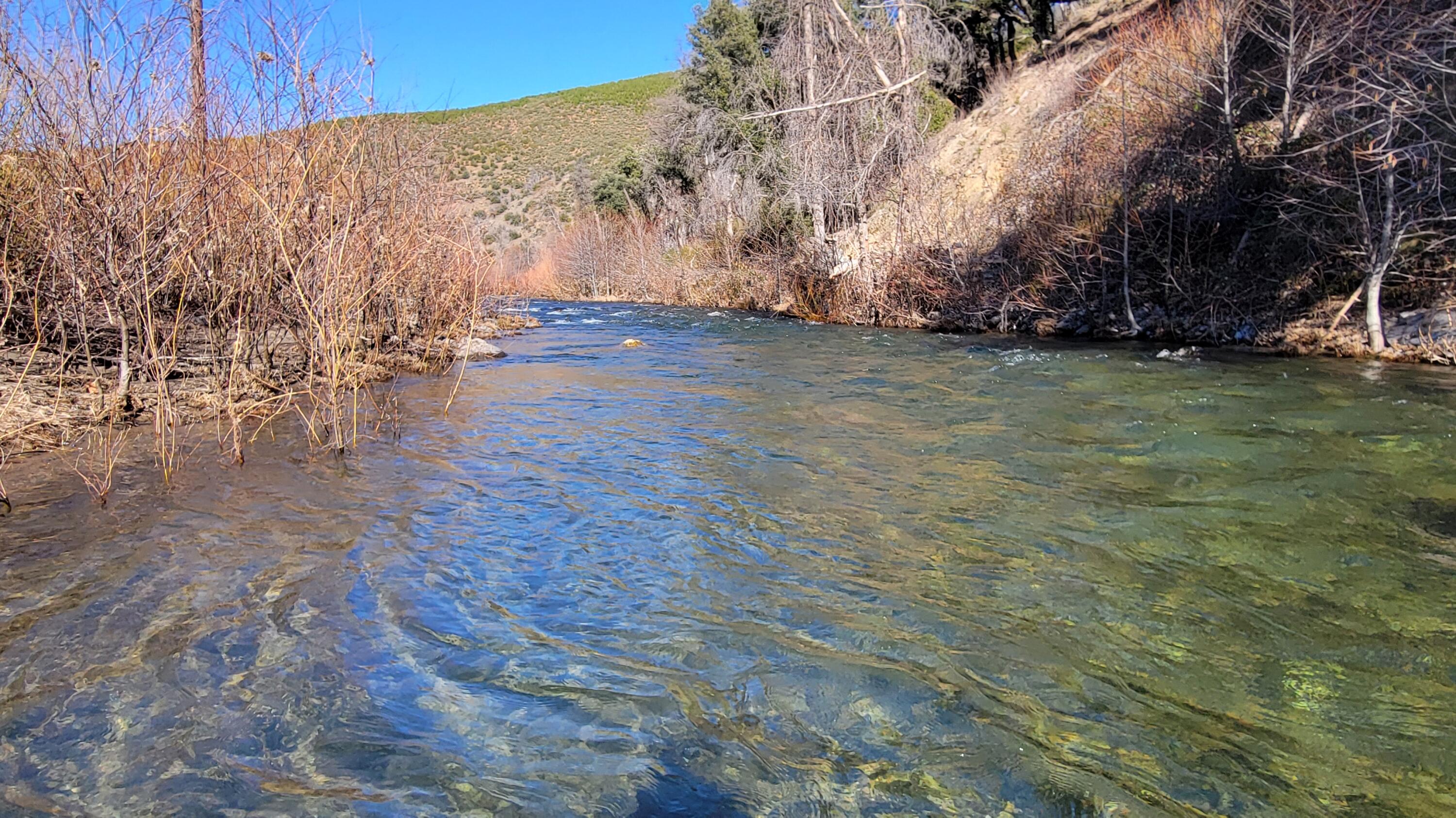 0 Trinity Mountain Road French Gulch, CA 96033 - Photo 4 of 7 20250128_132938