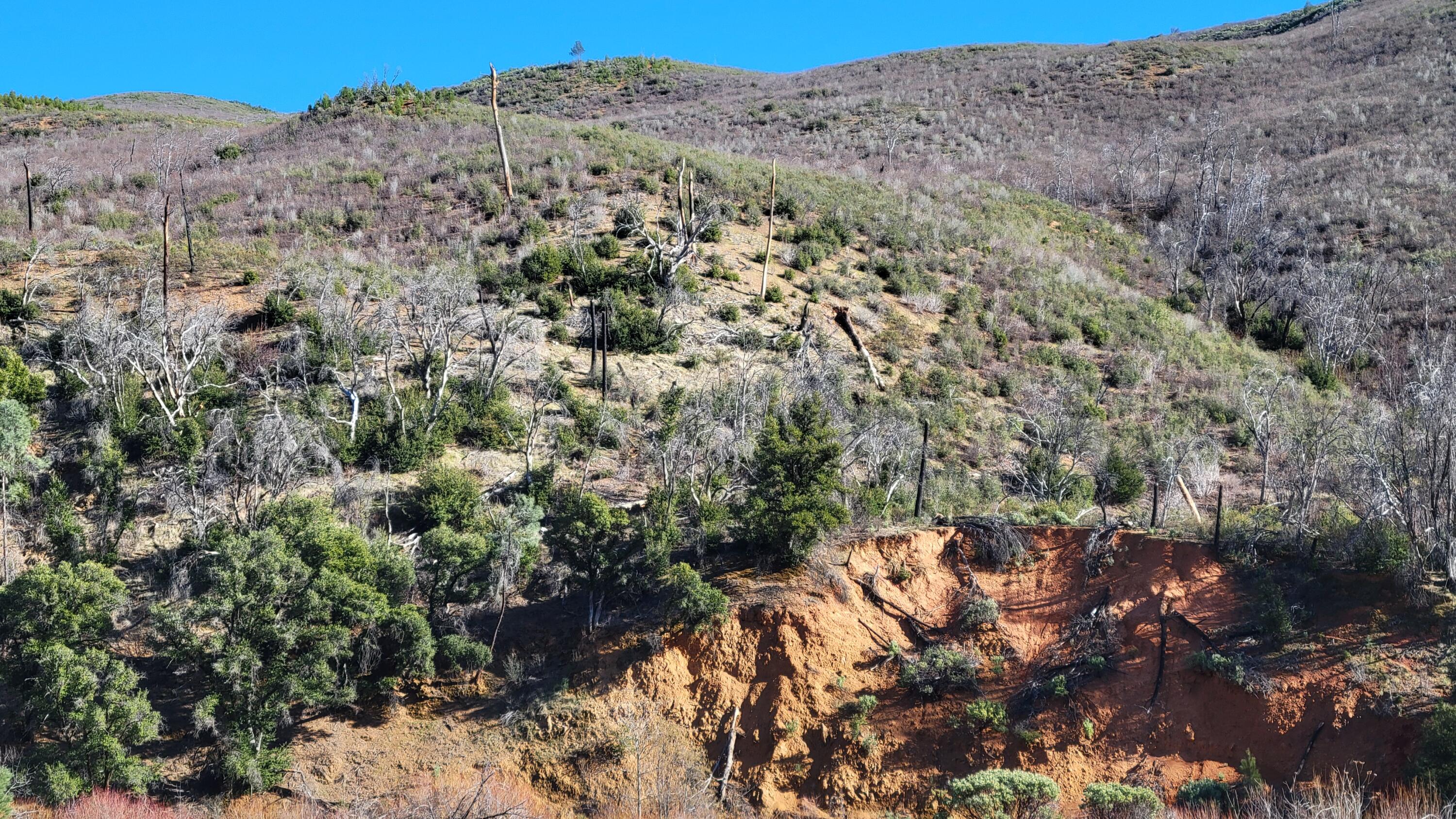 0 Trinity Mountain Road French Gulch, CA 96033 - Photo 6 of 7 20250128_135848