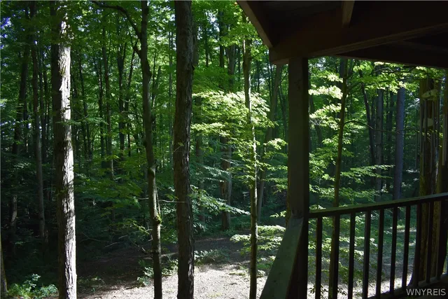 $185,000 | 408 Hunt Road, Cherry Creek, NY 14723