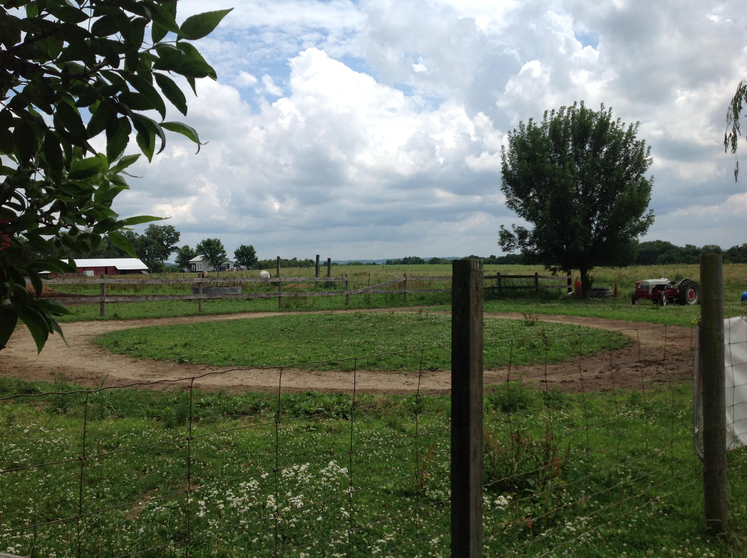 26442 Kime-Holderman Road Circleville, OH 43113 - Photo 59 of 61 Gallery Image 59
