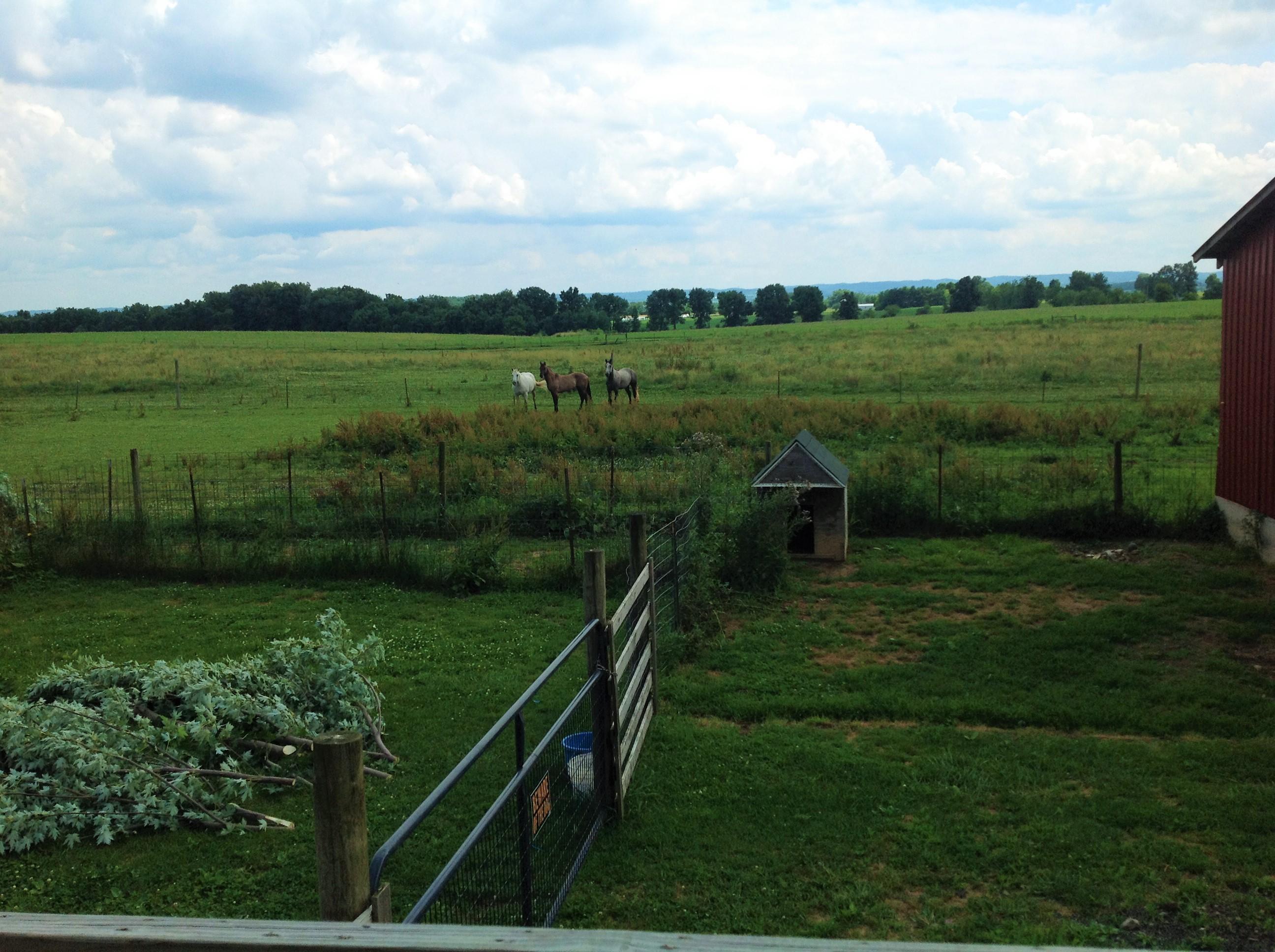 26442 Kime-Holderman Road Circleville, OH 43113 - Photo 60 of 61 Gallery Image 60