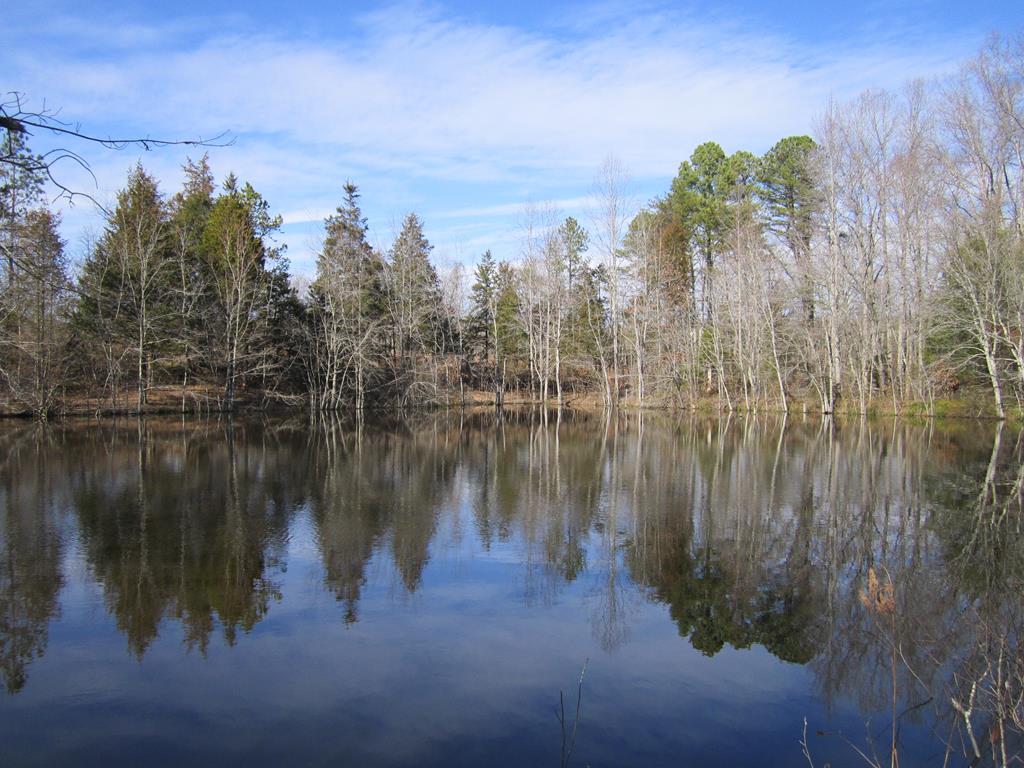 664 Sycamore Creek Road, Unit 1 Wingina, VA 24599 - Photo 1 of 5 Gallery Image 1