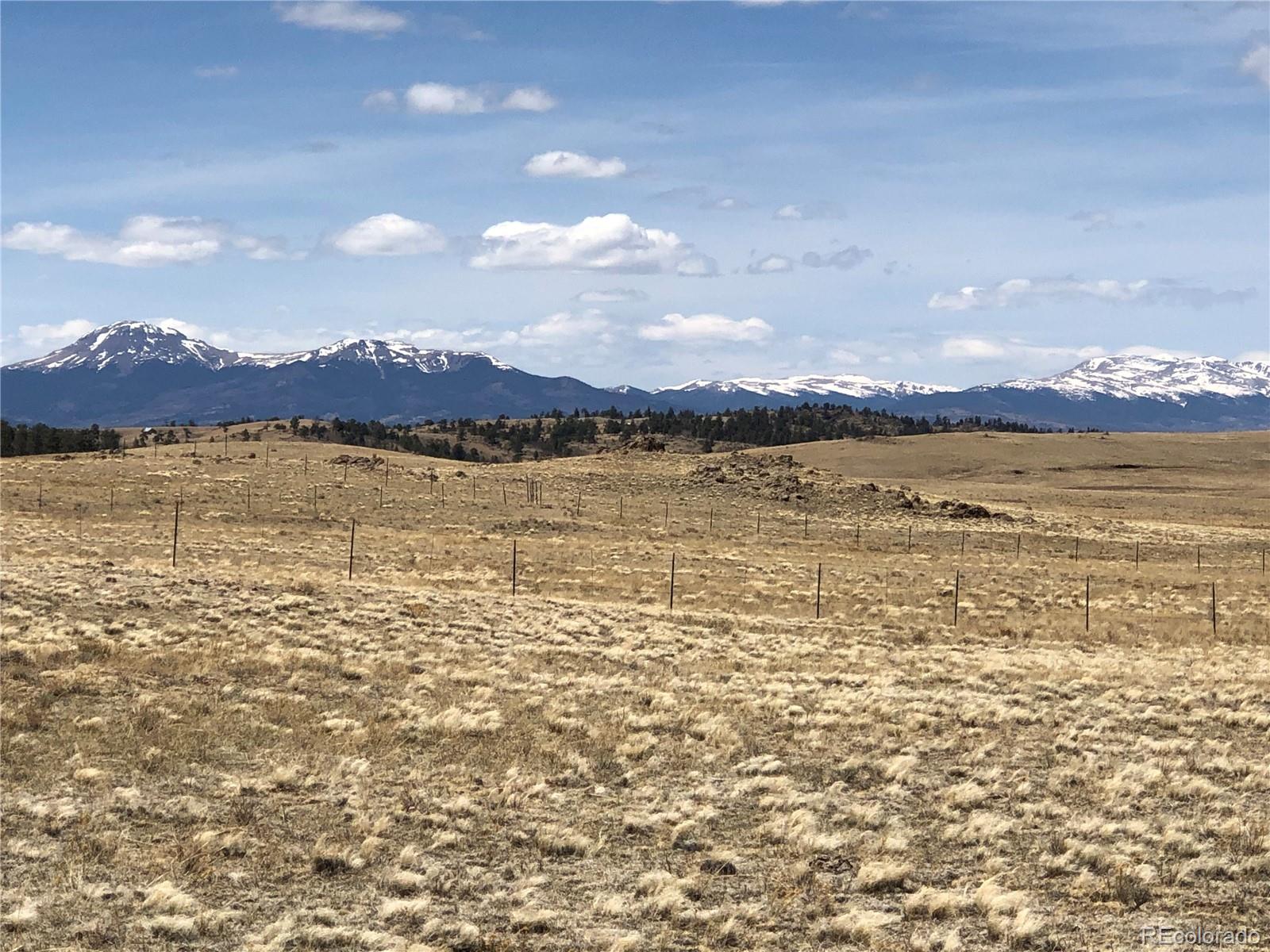 0 Lenape Trail Hartsel, CO 80449 - Photo 2 of 12