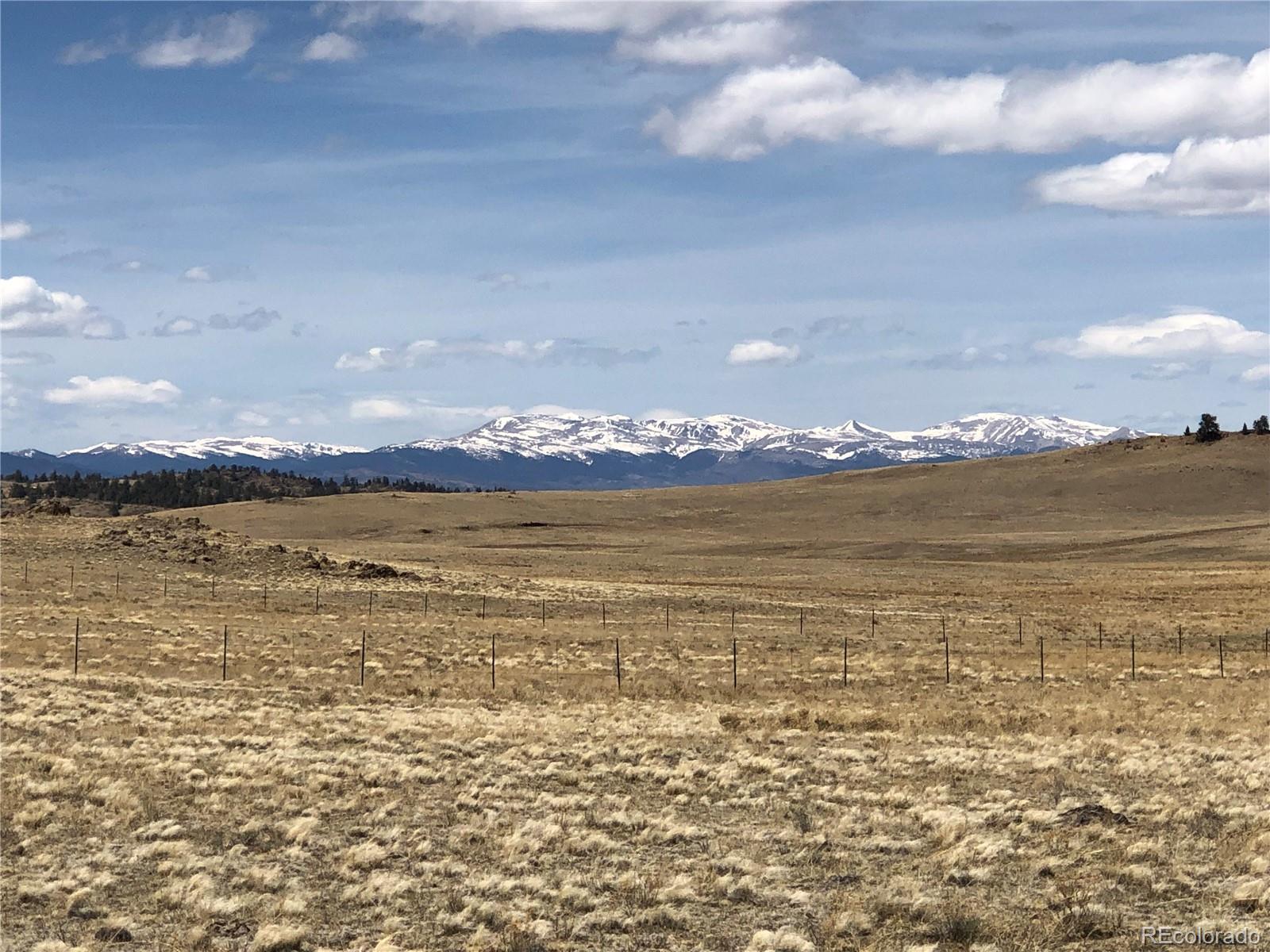 0 Lenape Trail Hartsel, CO 80449 - Photo 3 of 12