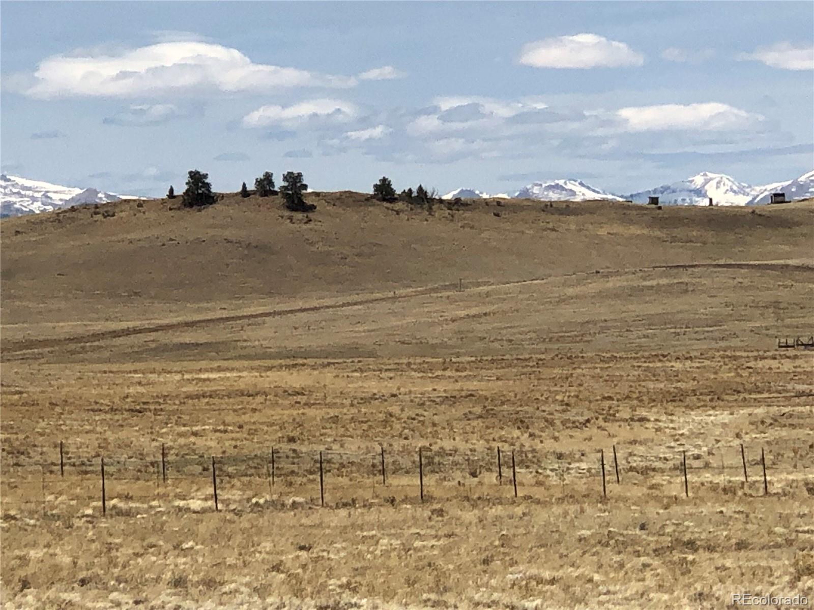 0 Lenape Trail Hartsel, CO 80449 - Photo 4 of 12