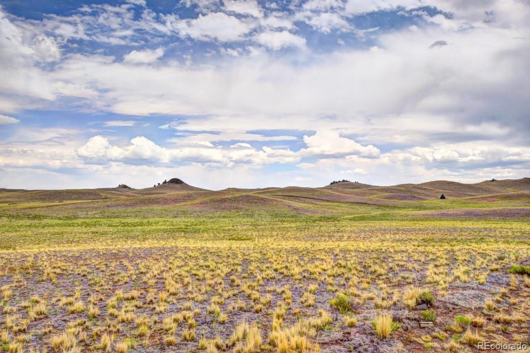 0 Lenape Trail Hartsel, CO 80449 - Photo 7 of 12