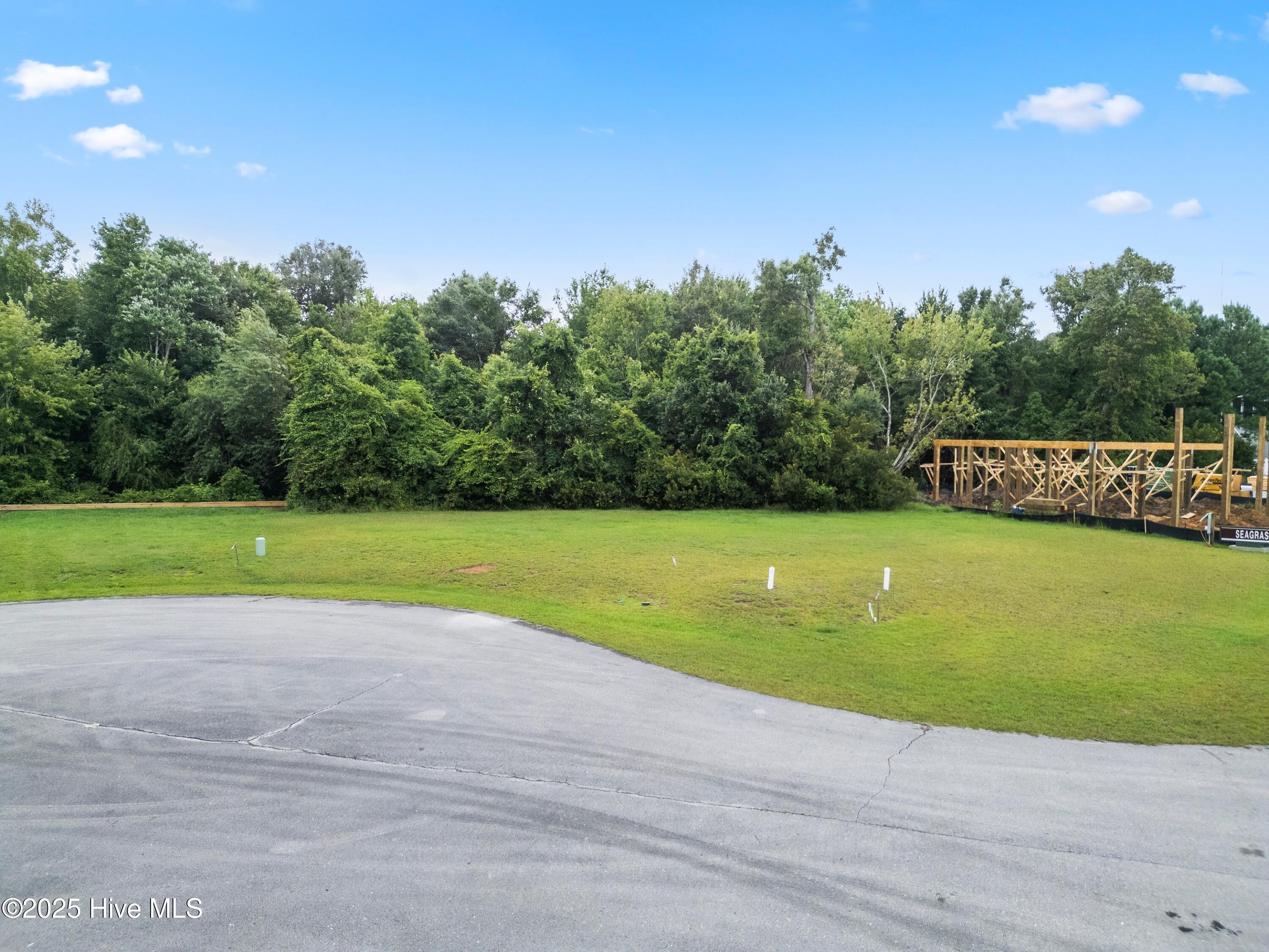 200 Seagrass Court Holly Ridge, NC 28445 - Photo 5 of 60 mls-DJI_0316