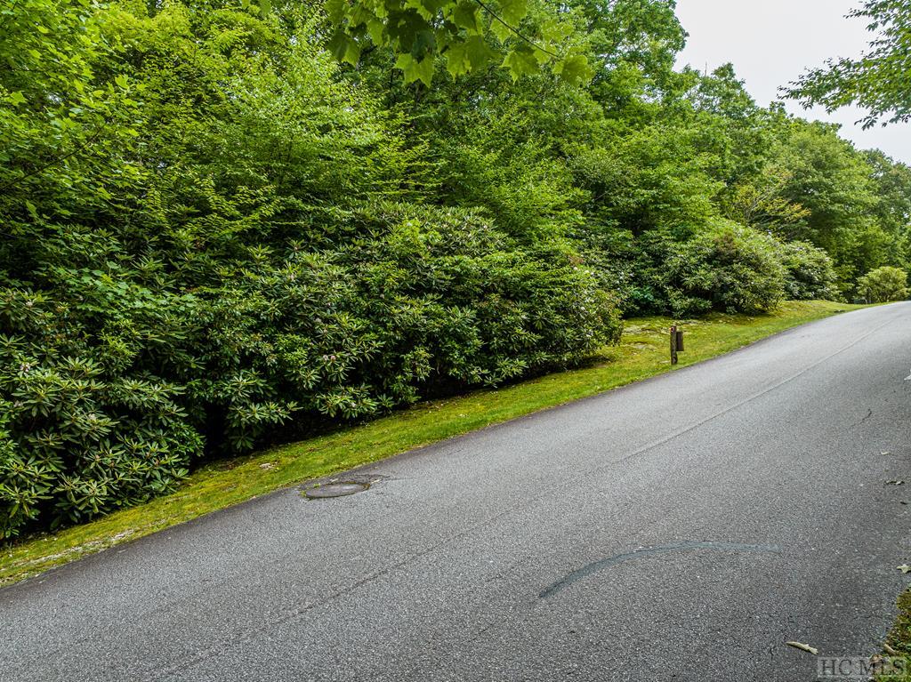 Lot 23 Highgate Road Highlands, NC 28741 - Photo 1 of 14 Gallery Image 1