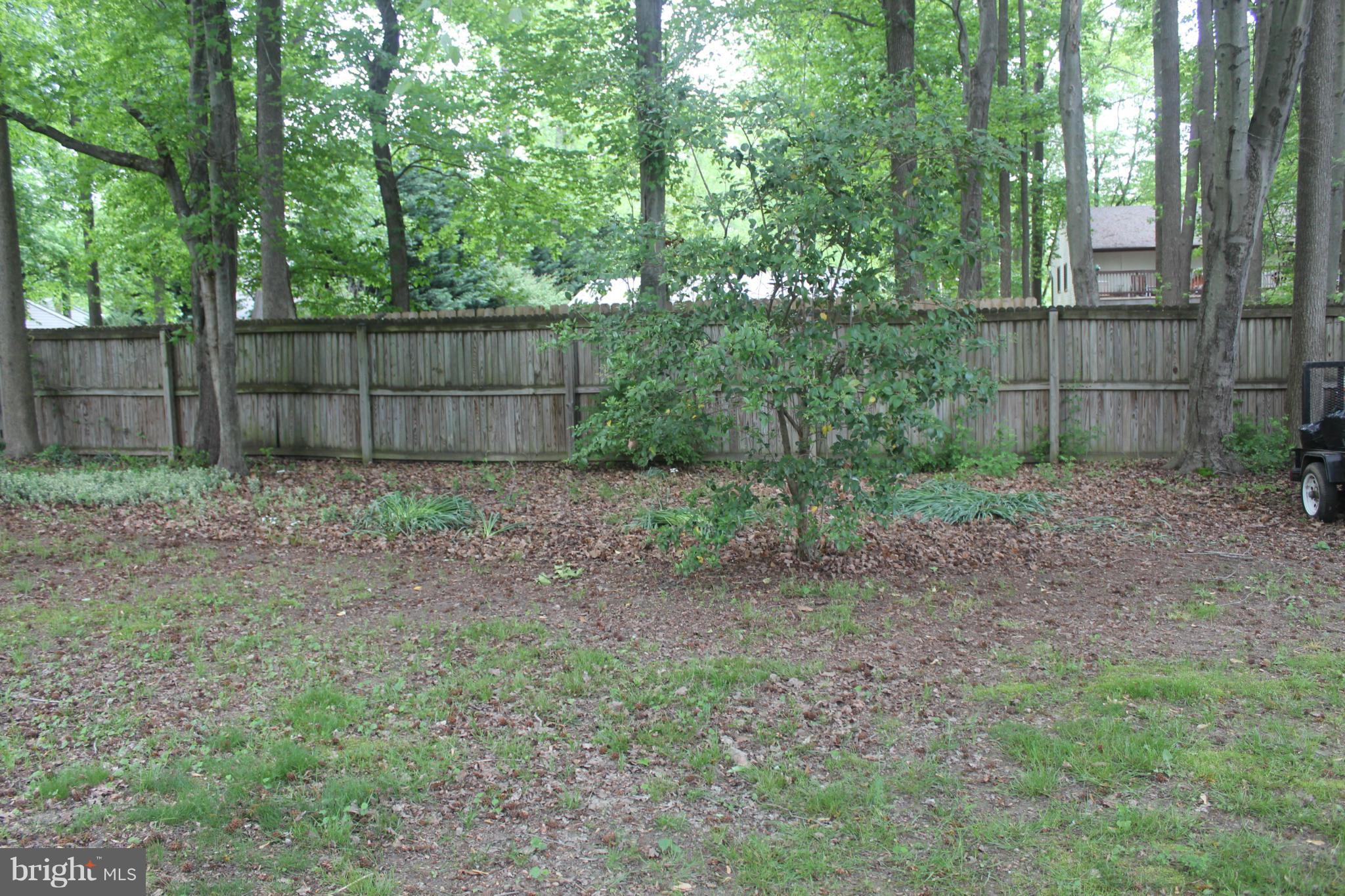 312 McKay Road Stevensville, MD 21666 - Photo 4 of 22 Exterior (Rear)