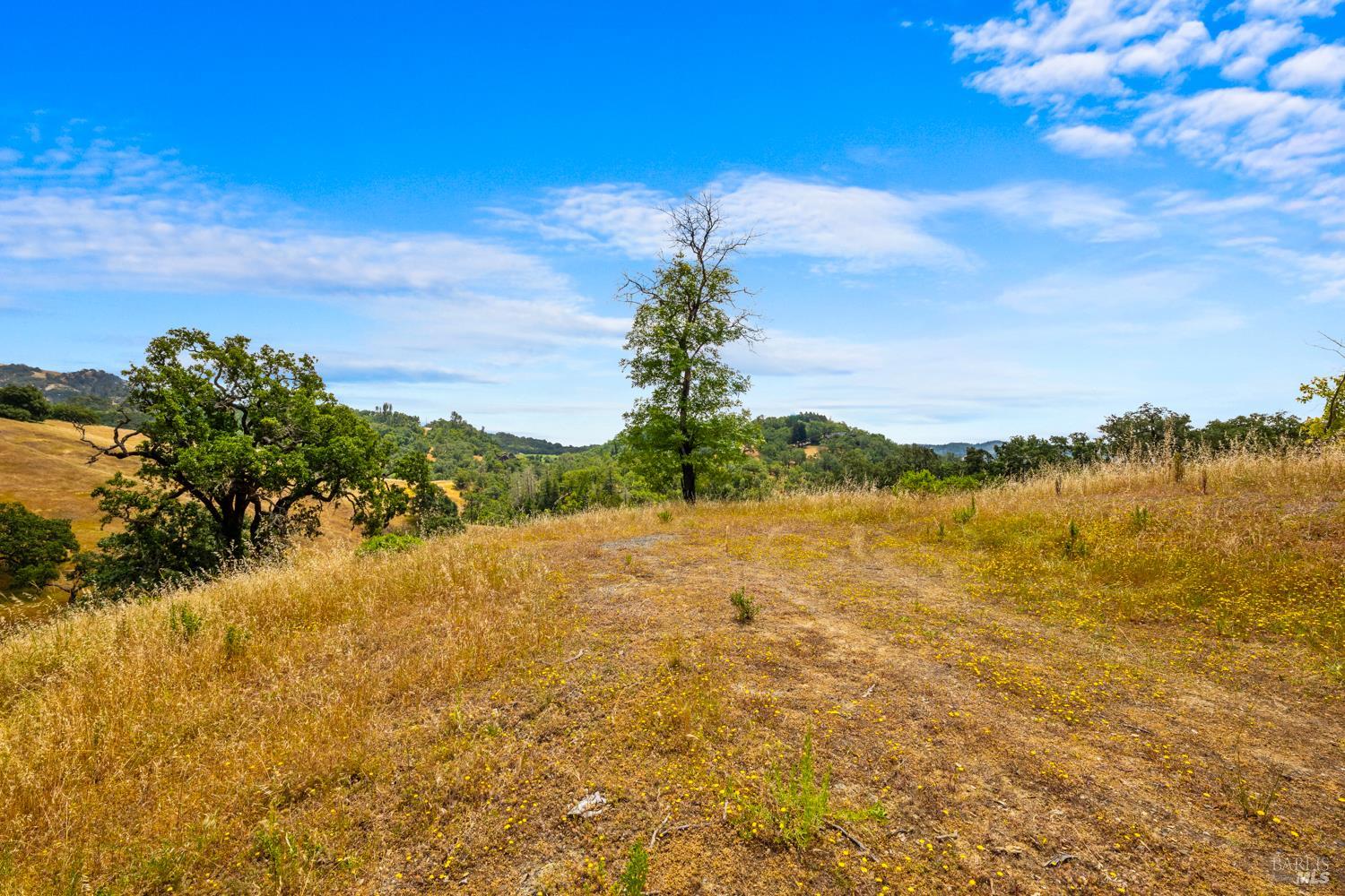 23655 Vineyard Road Geyserville, CA 95441 - Photo 21 of 38