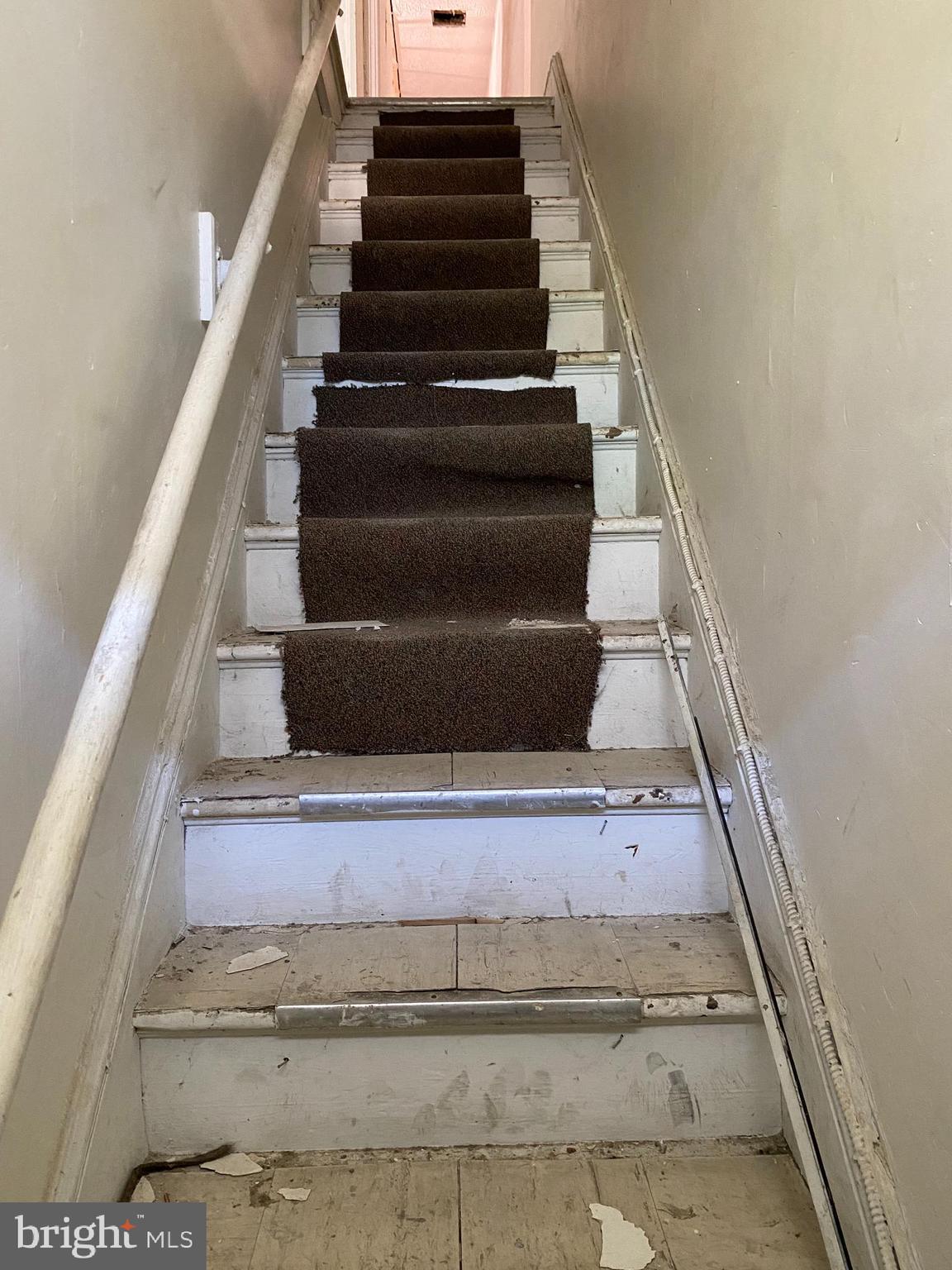 523 2nd Street Northeast Washington, DC 20002 - Photo 28 of 54