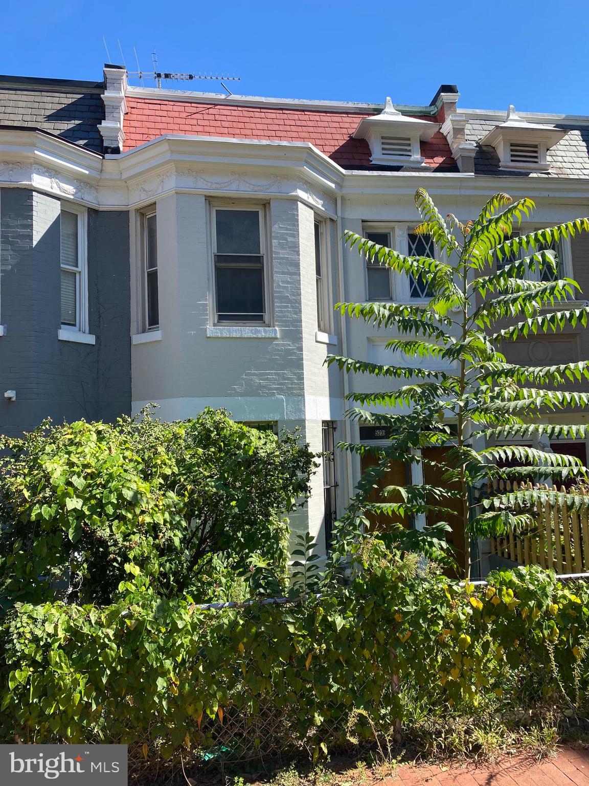 523 2nd Street Northeast Washington, DC 20002 - Photo 3 of 54