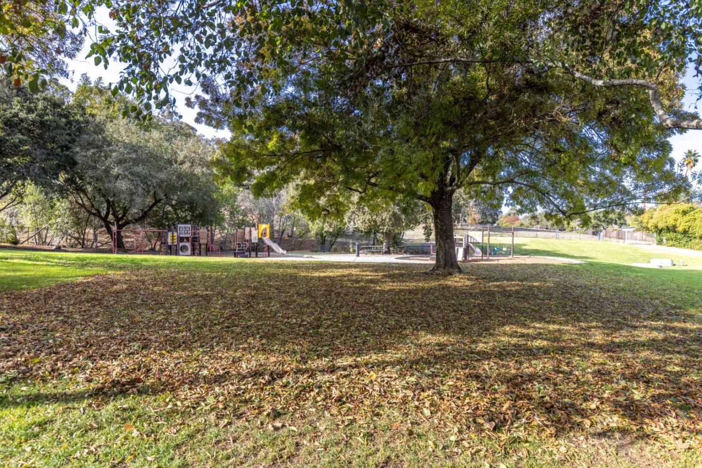 0 Canyon Road Redwood City, CA 94062 - Photo 10 of 12 a view of outdoor space with trees