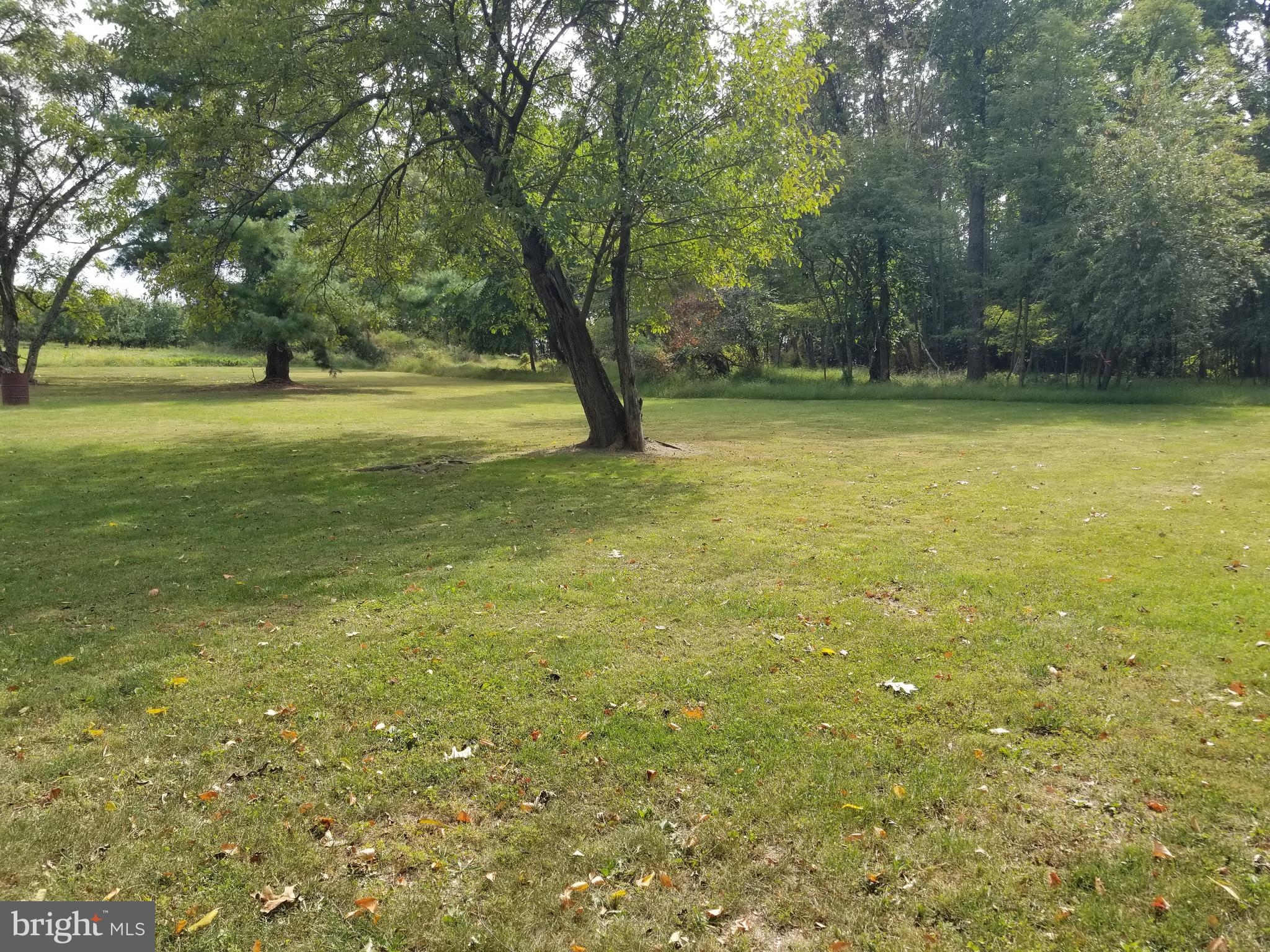 2244 Cold Spring Road Fairfield, PA 17320 - Photo 9 of 40 Level Back Yard