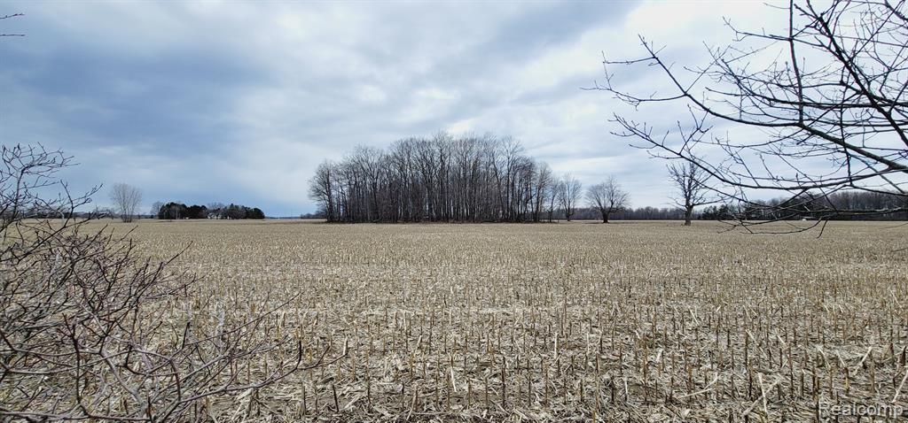 2611 Miller Road Allenton, MI 48002 - Photo 54 of 59