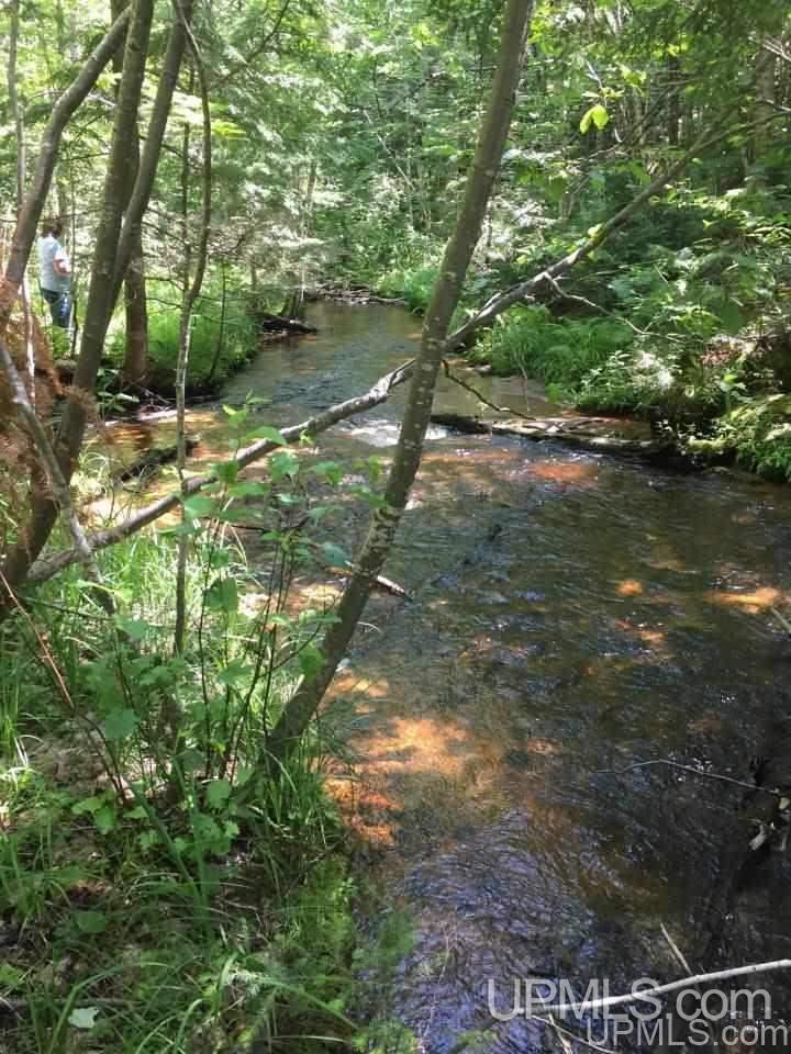 Tbd Trail Off Northwestern Road Big Bay, MI 49808 - Photo 3 of 12