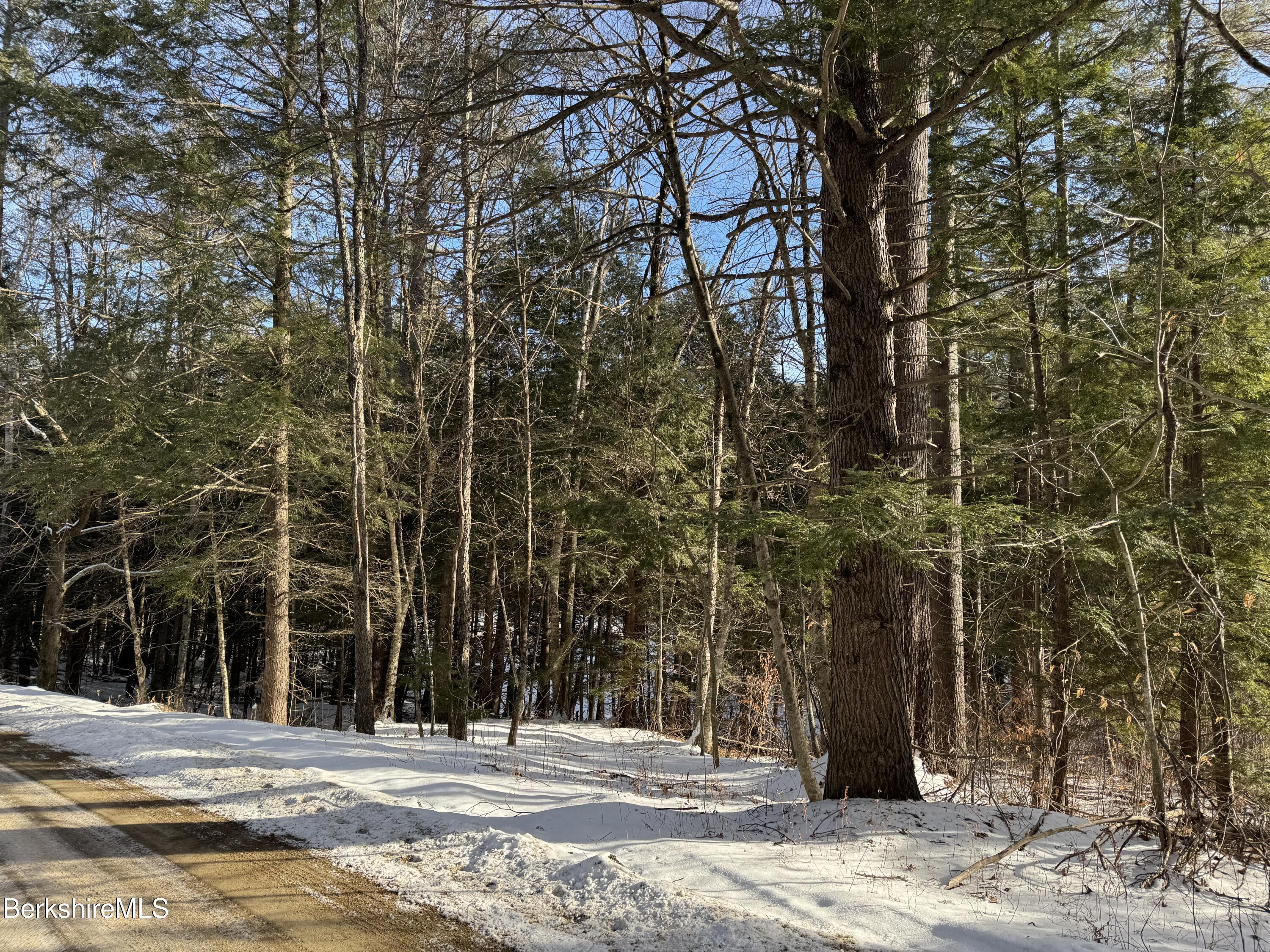 0 Tunnel Road Rowe, MA 01367 - Photo 3 of 14 a view of a building with a street