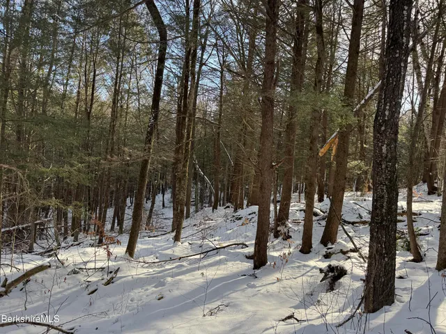 a view of a park with trees