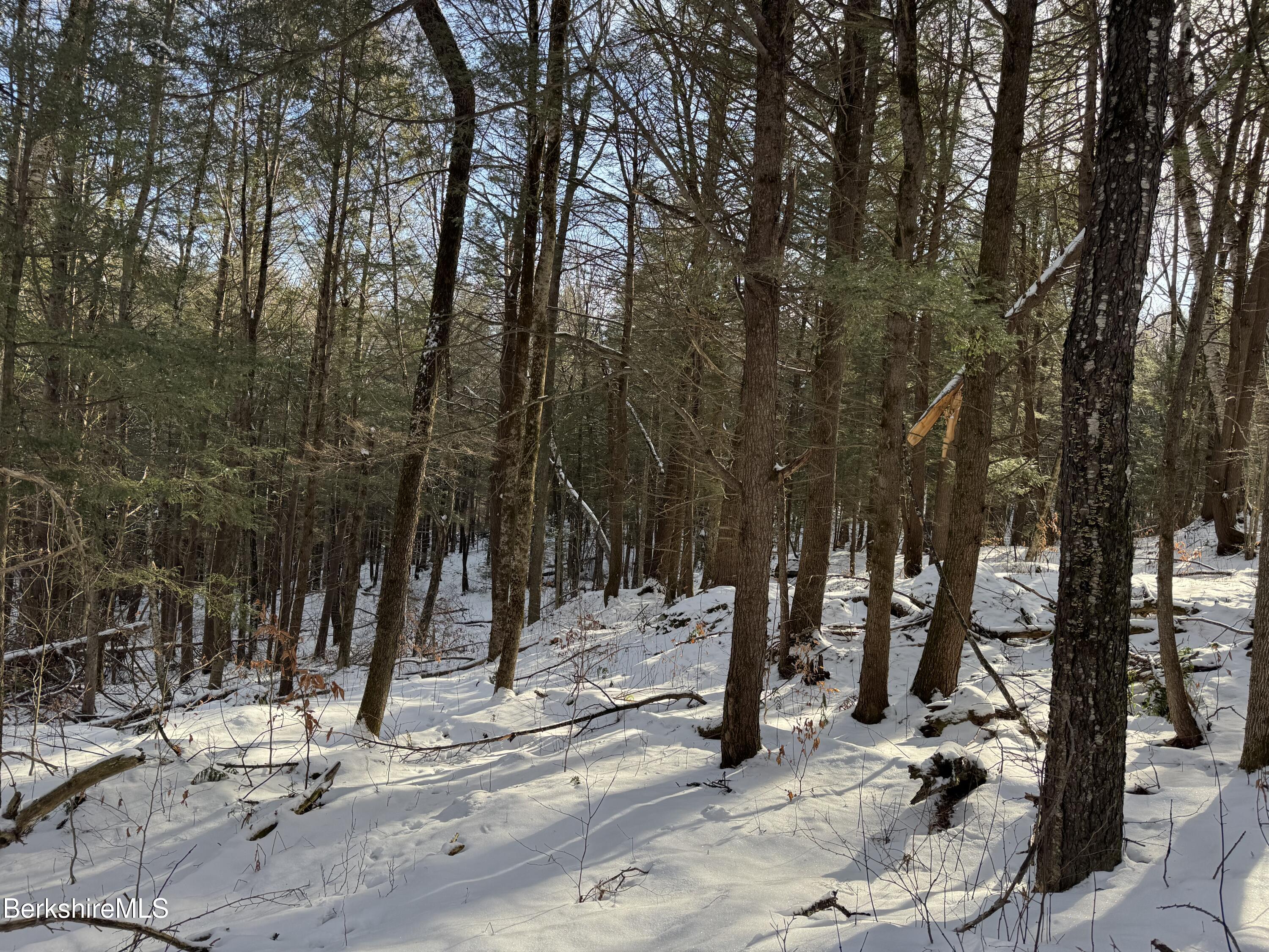 0 Tunnel Road Rowe, MA 01367 - Photo 6 of 14 a view of a park with trees