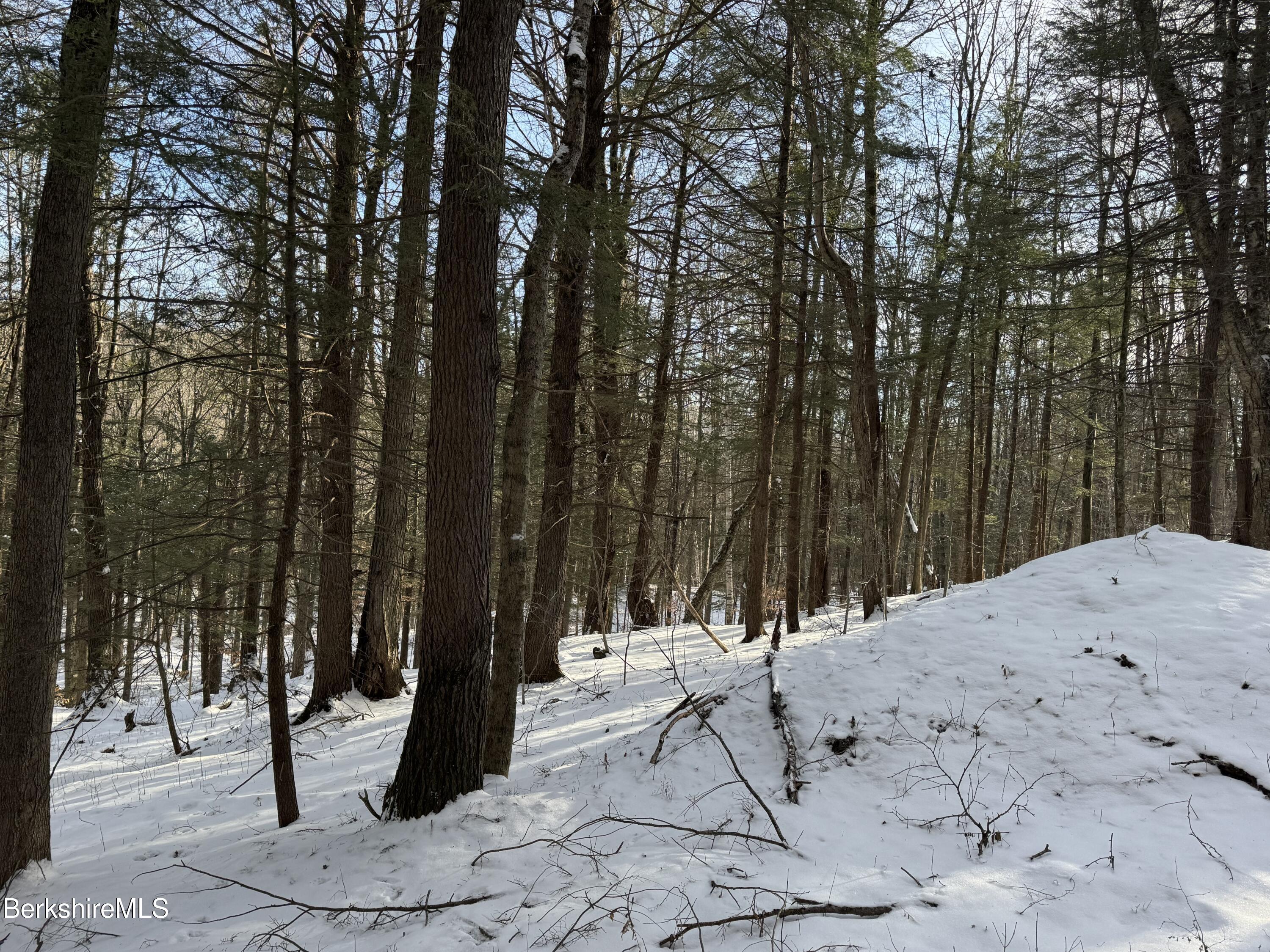 0 Tunnel Road Rowe, MA 01367 - Photo 7 of 14 a view of a backyard with large trees