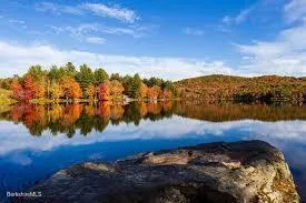 a view of a lake with a mountain