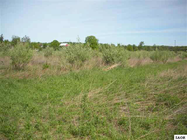 0 Waugh Road Owosso, MI 48867 - Photo 1 of 3 47874.JPG