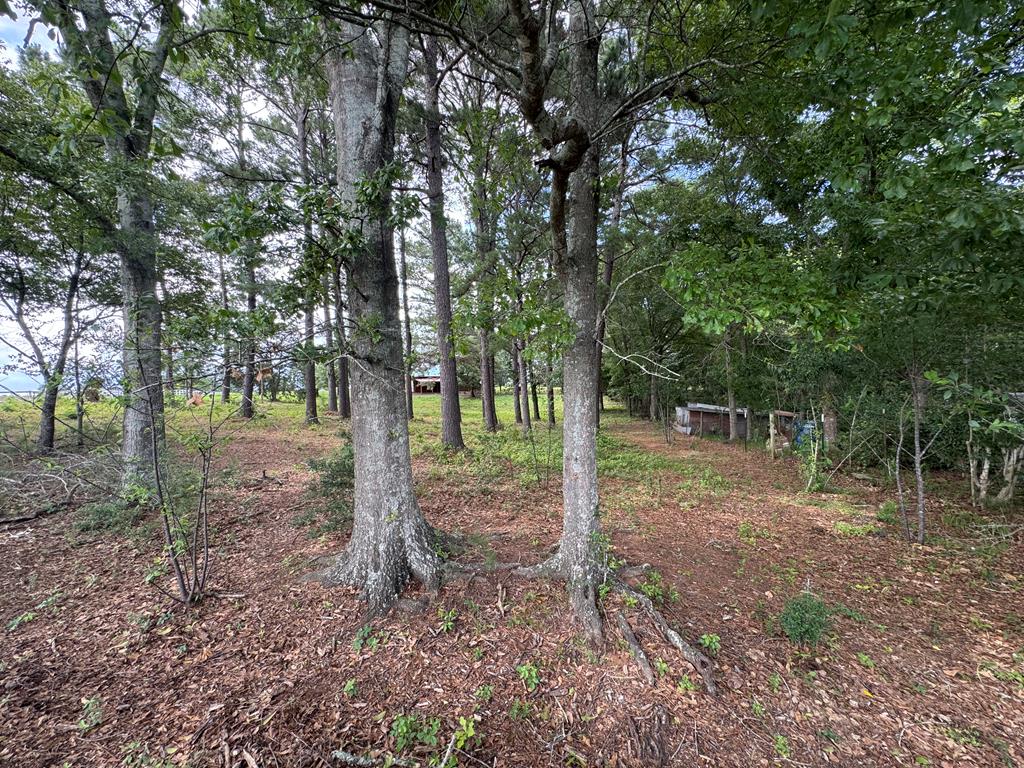 2129 Cumbie Road Newton, AL 36352 - Photo 63 of 64