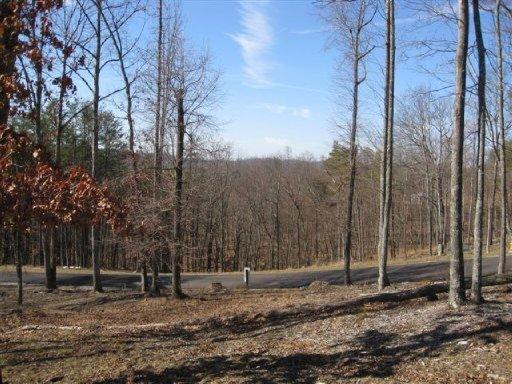 Bayside Boulevard Bean Station, TN 37708 - Photo 4 of 8 Lot photo