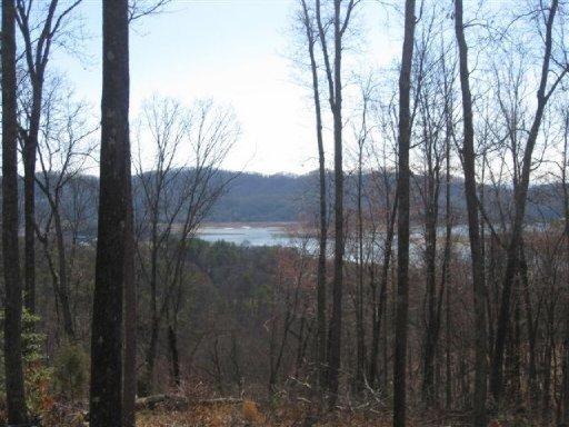 Bayside Boulevard Bean Station, TN 37708 - Photo 5 of 8 Beautiful lake views