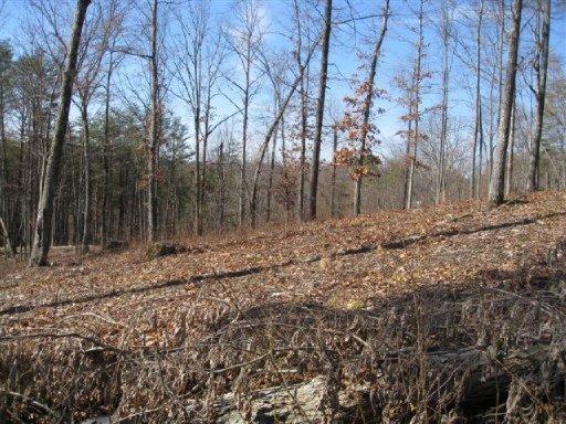 Bayside Boulevard Bean Station, TN 37708 - Photo 6 of 8 Home sites