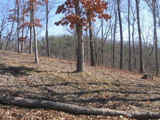 Bayside Boulevard Bean Station, TN 37708 - Photo 8 of 8 Lot photo