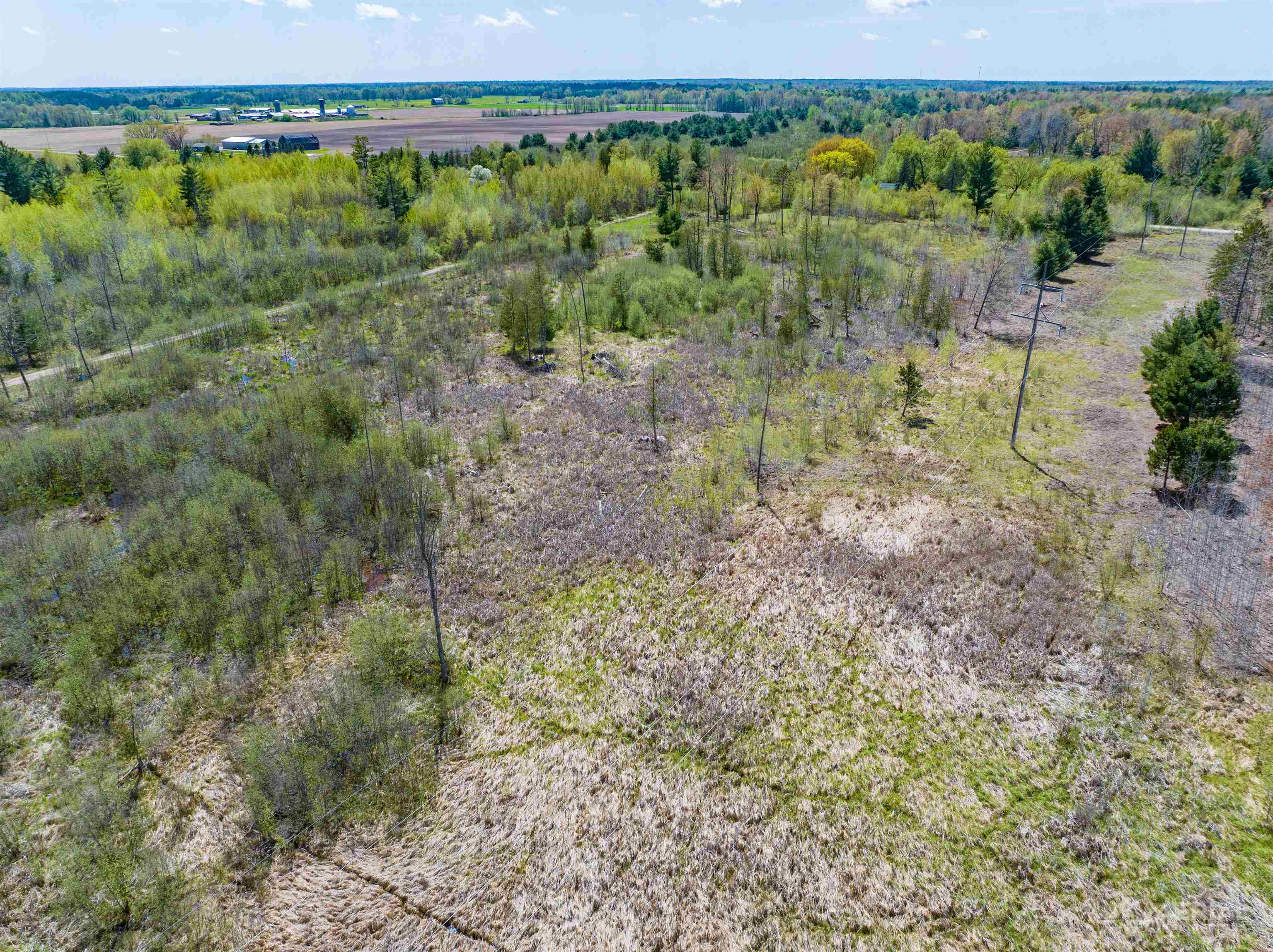 0 Seder Road Alger, MI 48610 - Photo 6 of 13