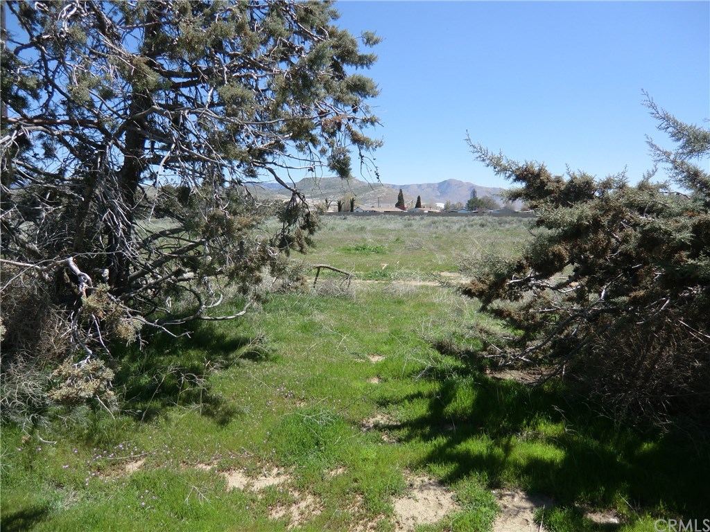 A Tehachapi Willow Springs Road Tehachapi, CA 93561 - Photo 12 of 27